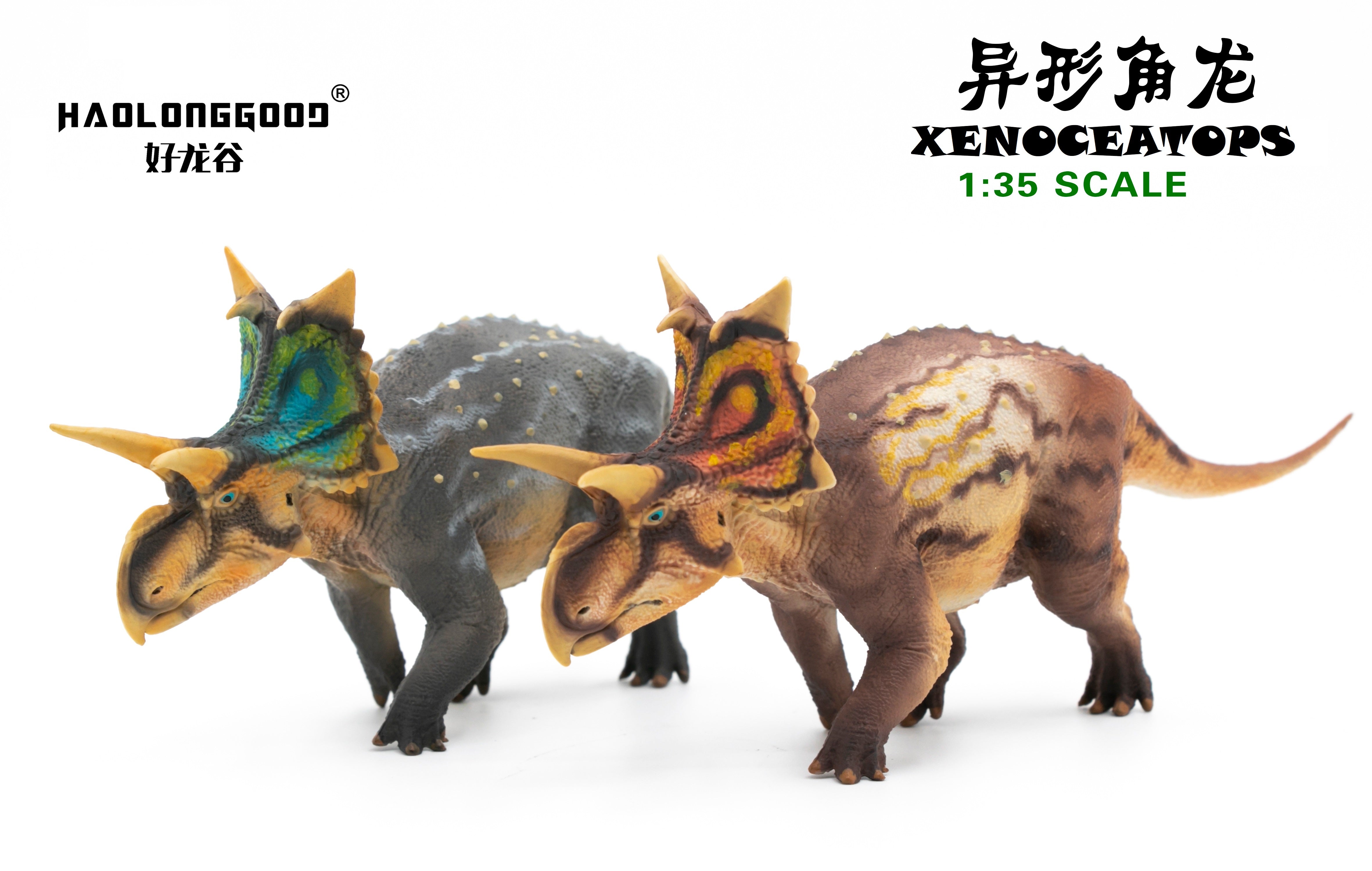 HAOLONGGOOD 1:35 Scale Sinoceratops Model