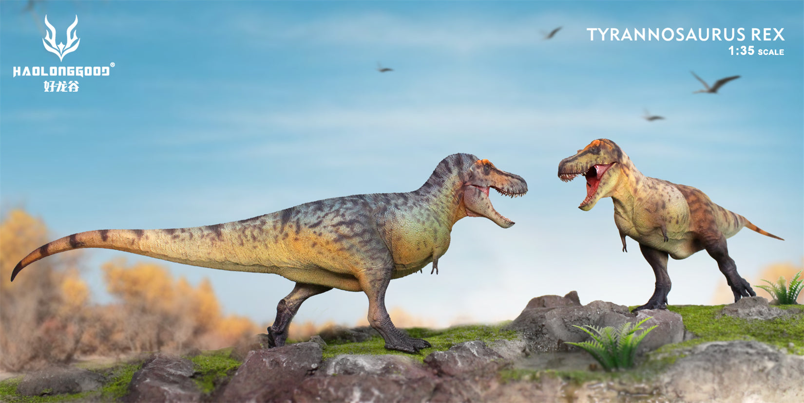 HAOLONGGOOD 1:35 Scale Tyrannosaurus Rex Model