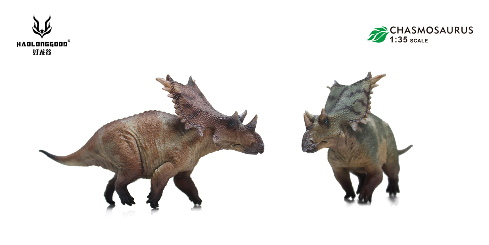 HAOLONGGOOD 1:35 Scale Chasmosaurus Model