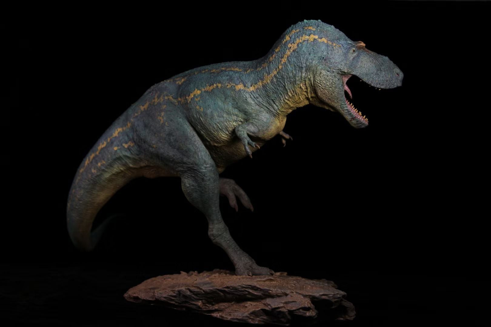 SHOWANNA 1/15 Scale Albertosaurus Eotriceratops Model