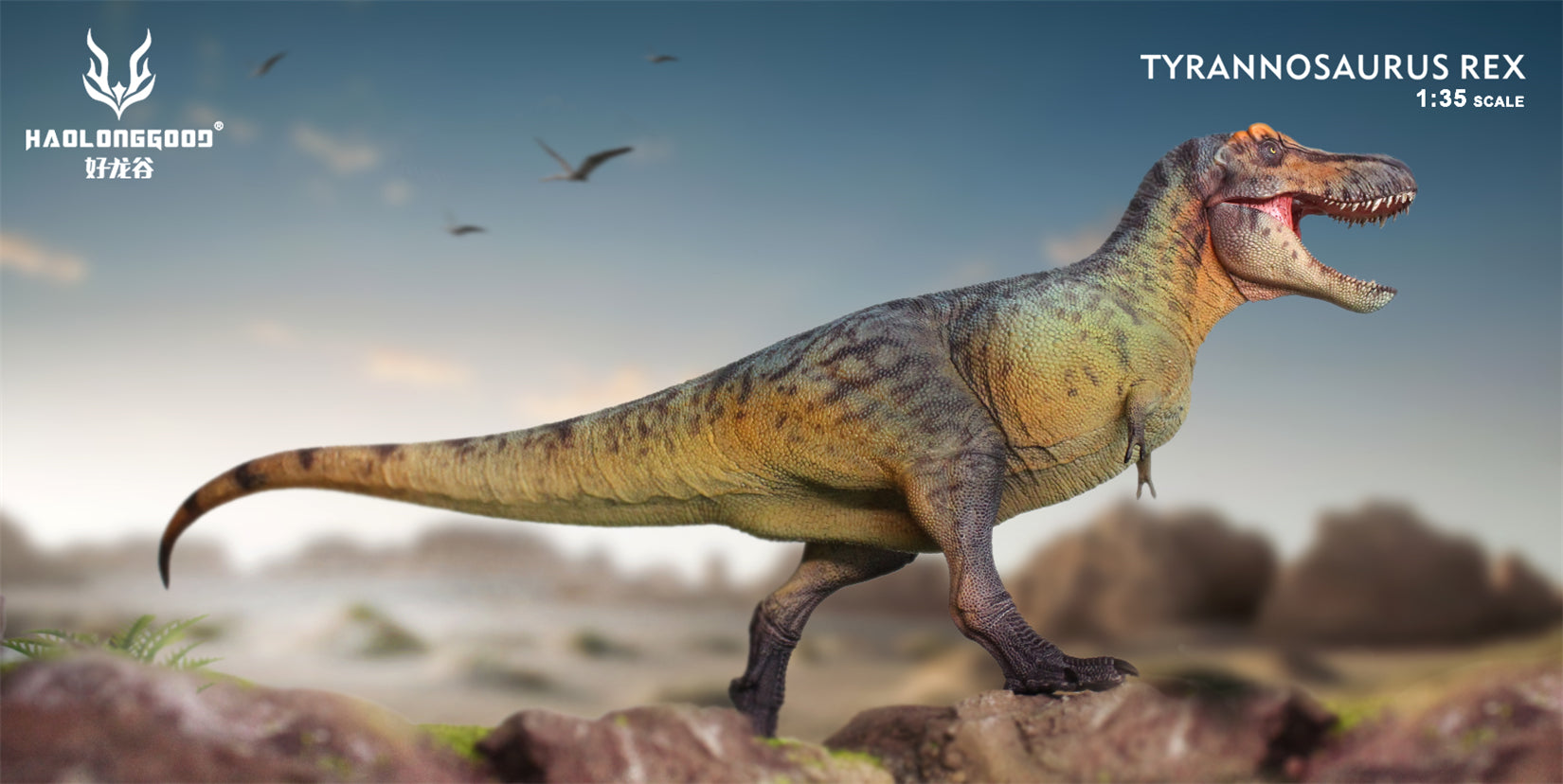 HAOLONGGOOD 1:35 Scale Tyrannosaurus Rex Model