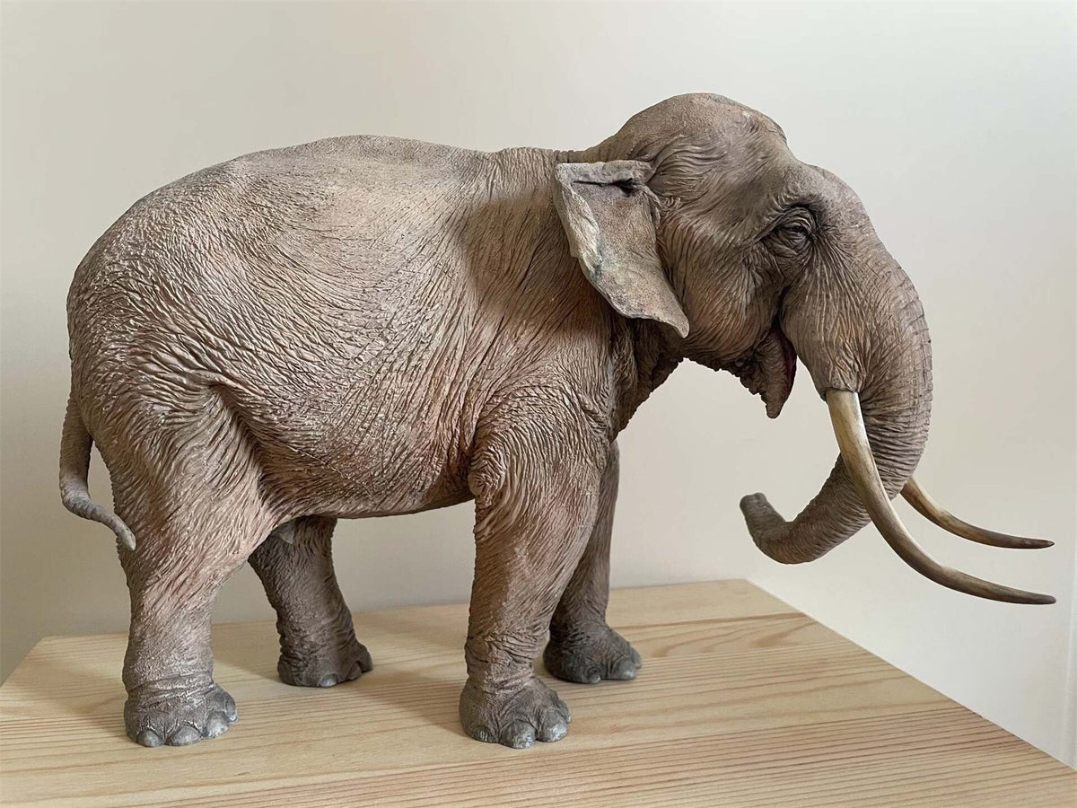 Tunan Studio Asian elephant painted version + African elephant unpainted version Model