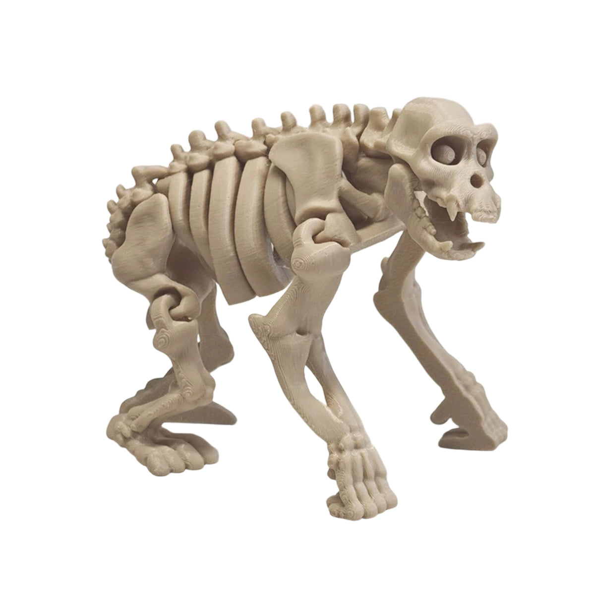 3D Printed African Animal Skeleton Articulated Figure