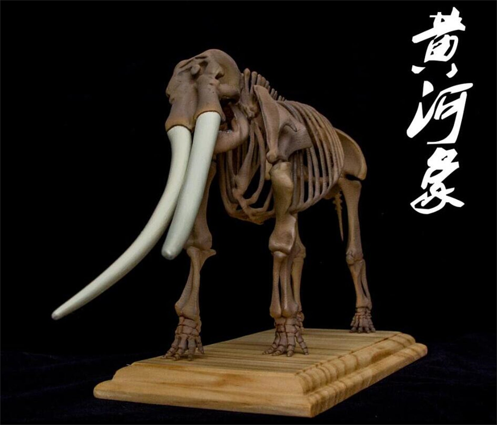 VWUVWU 1/20 Huanghe Flumen Stegodon Skeleton Model