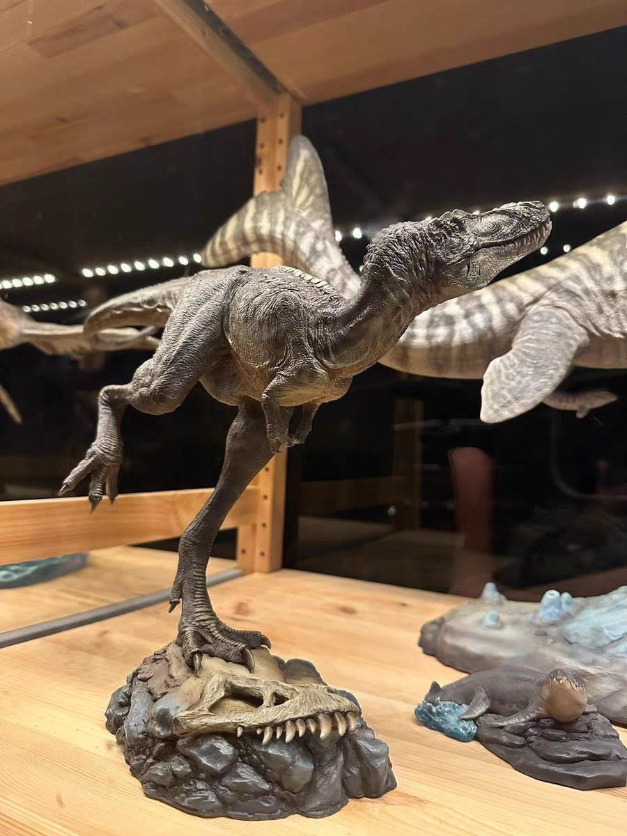 Cen DaoYi Studio Nanotyrannus*2 + the blue Gorgosaurus Model