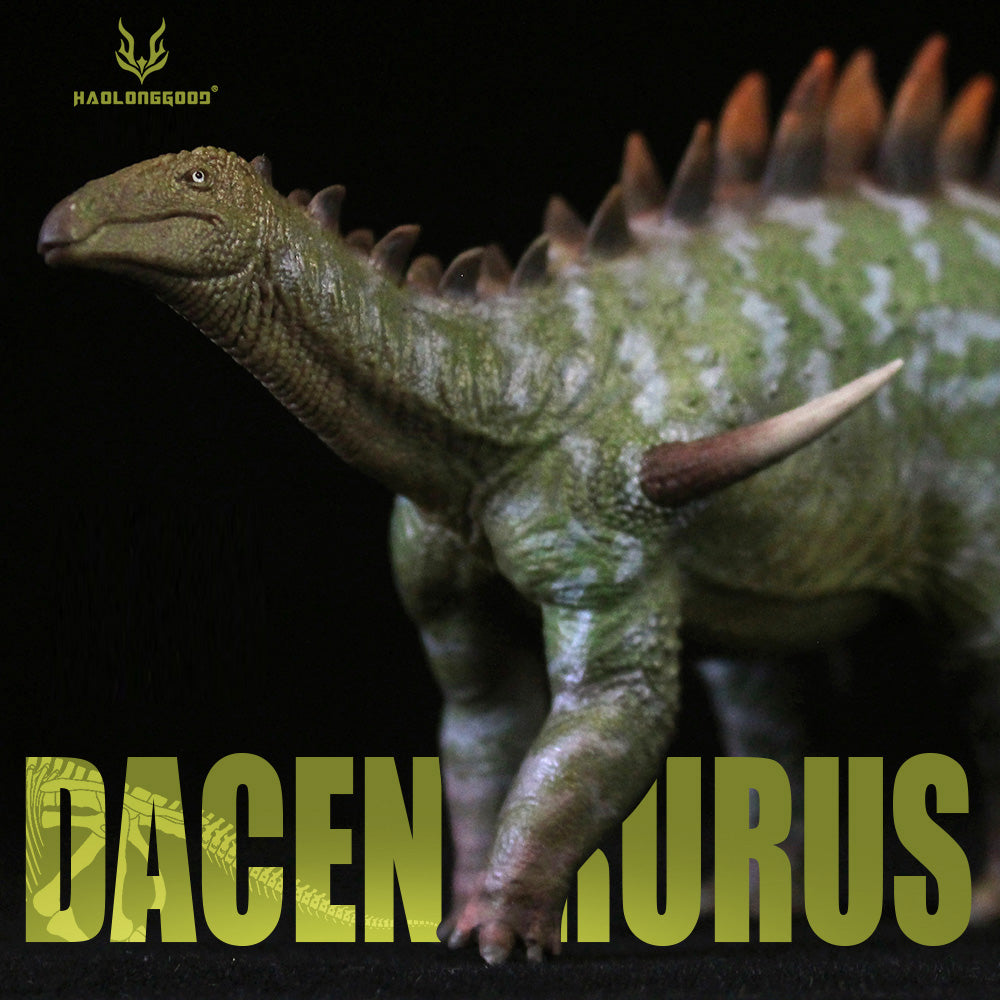 HAOLONGGOOD 1:35 Scale Dacentrurus Model