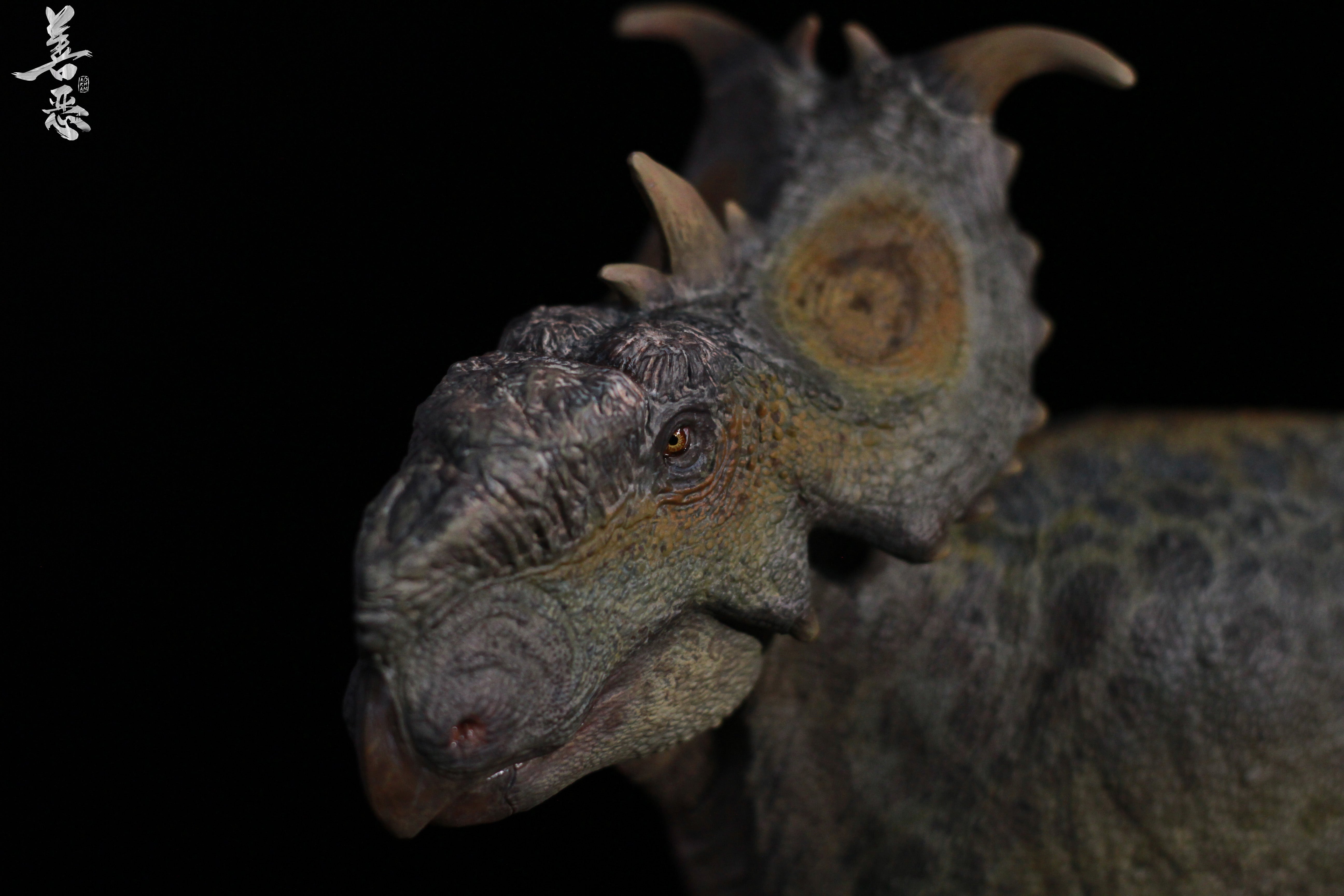 Aokhan 1:15 Scale Pachyrhinosaurus Scene Statue
