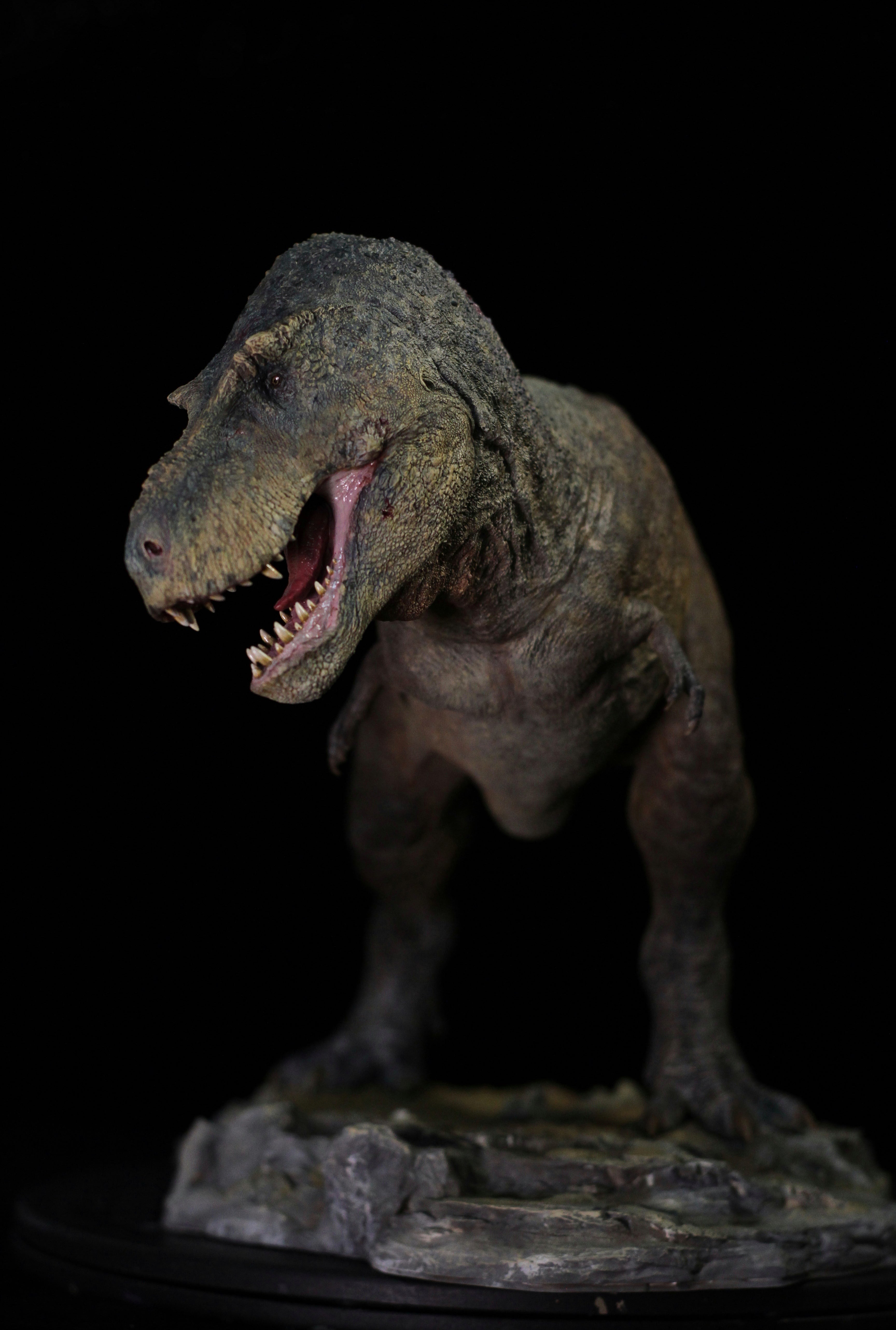 SHOWANNA 1:18 Scale Tyrannosaurus Rex VS Ankylosaurus SCENE STATUE