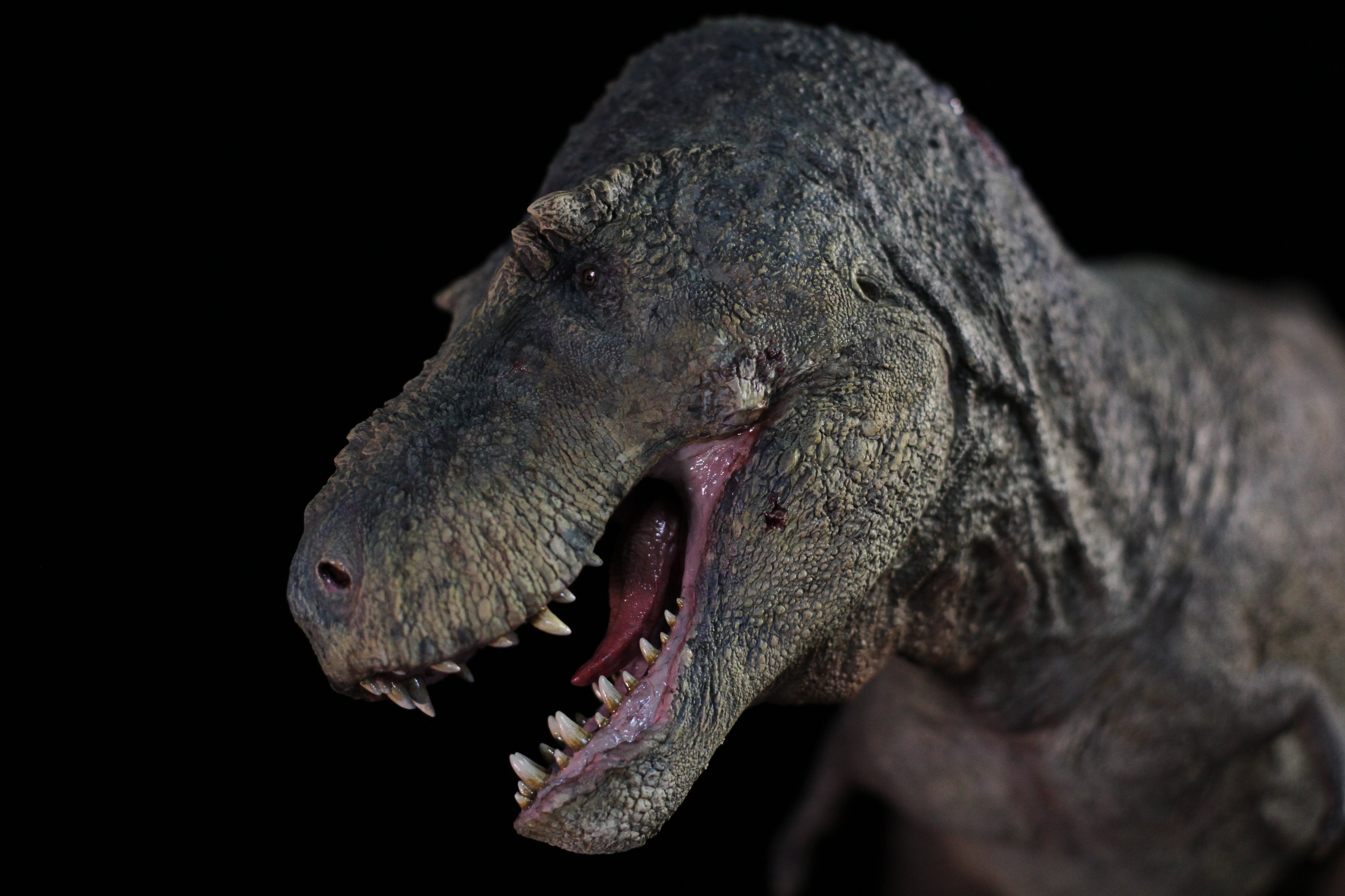 SHOWANNA 1:18 Scale Tyrannosaurus Rex VS Ankylosaurus SCENE STATUE