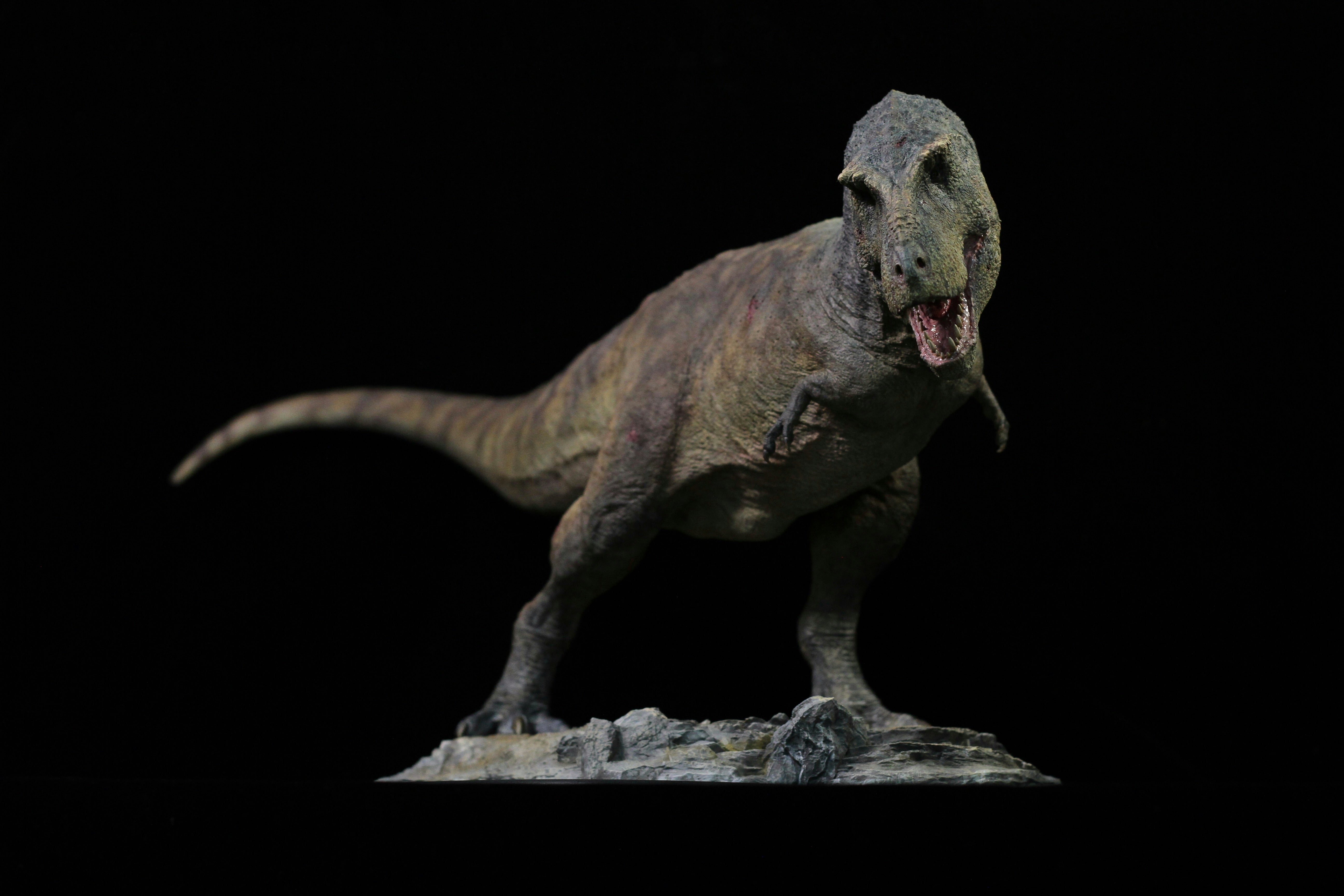 SHOWANNA 1:18 Scale Tyrannosaurus Rex VS Ankylosaurus SCENE STATUE