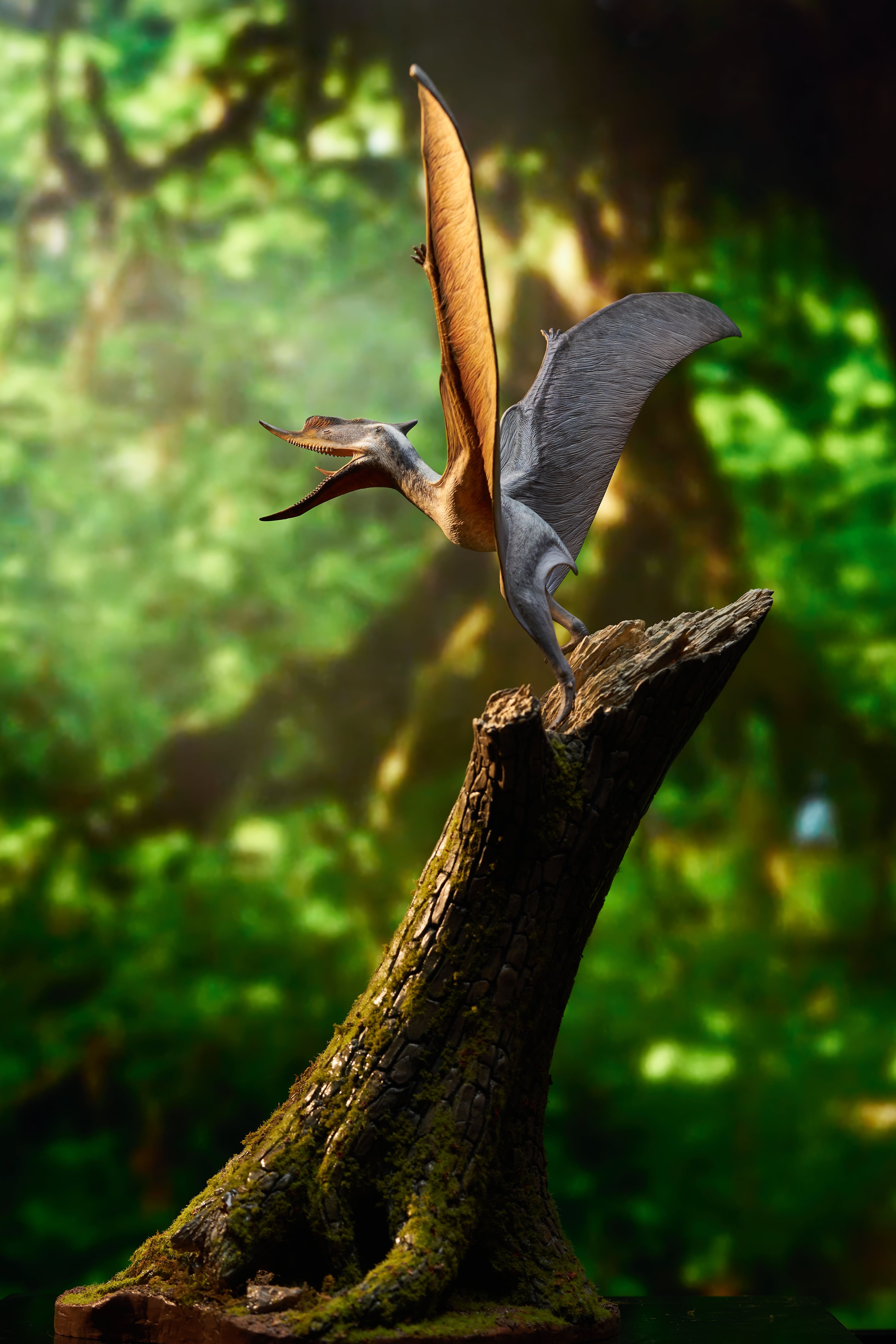 MuSee Studio 1/6 Scale Dsungaripterus Scene Statue