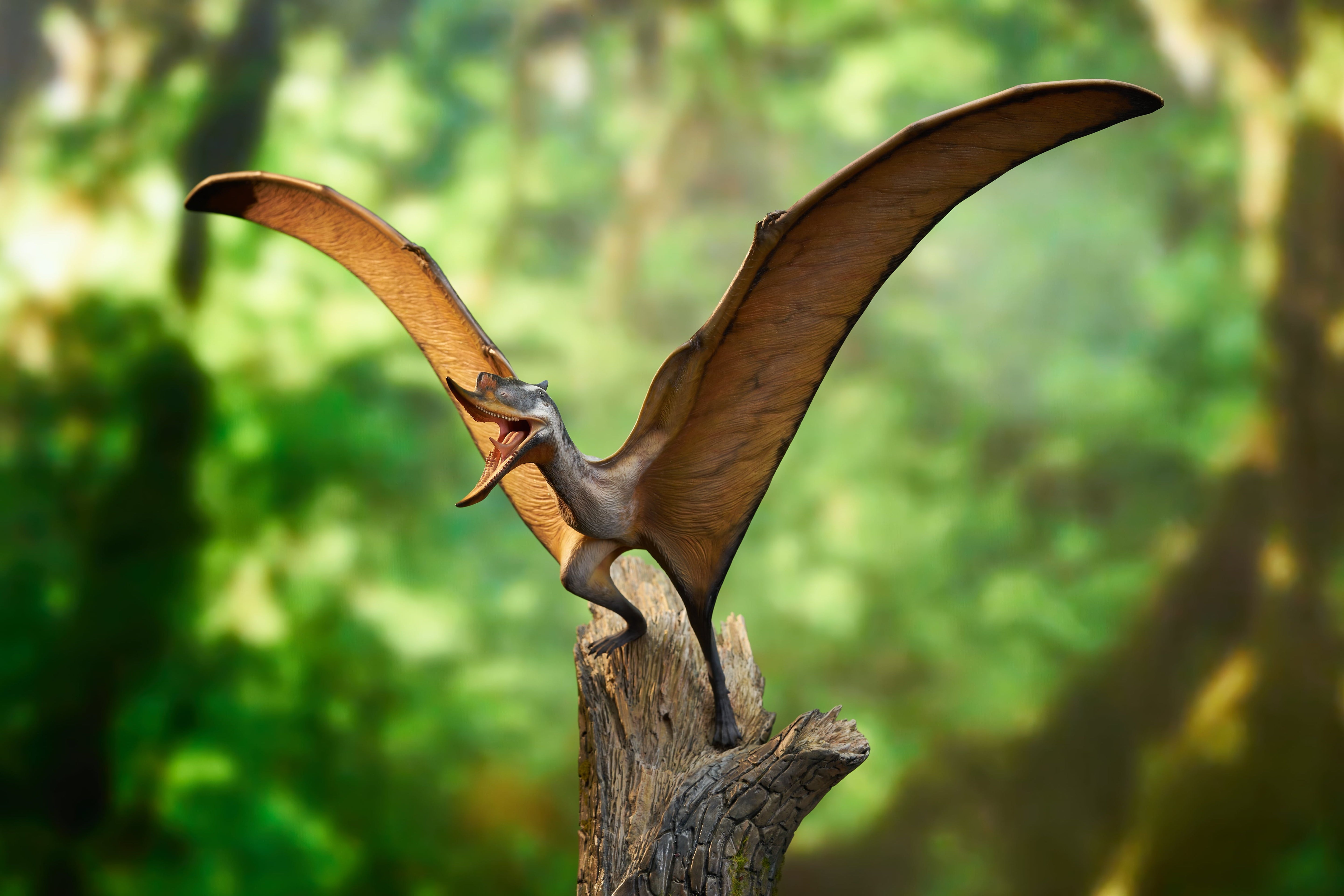 MuSee Studio 1/6 Scale Dsungaripterus Scene Statue