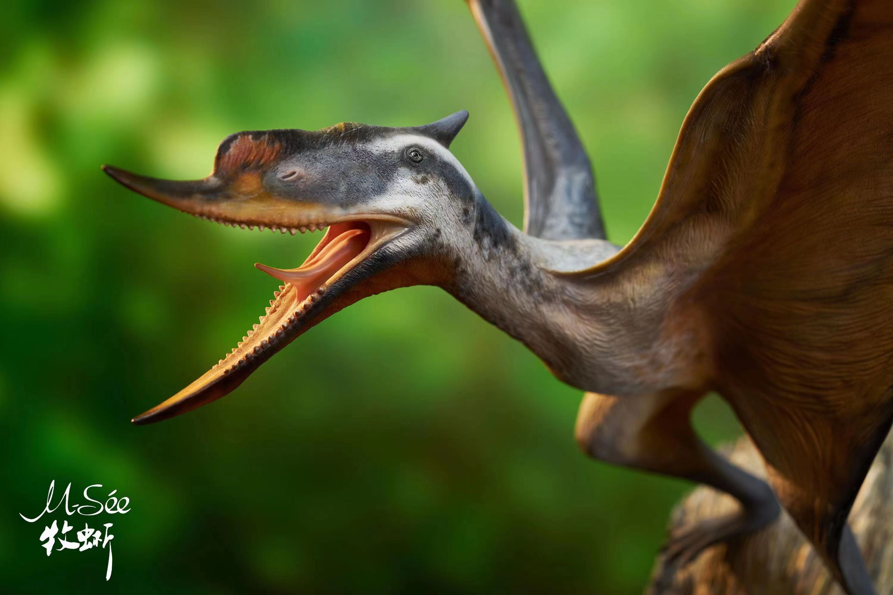 MuSee Studio 1/6 Scale Dsungaripterus Scene Statue