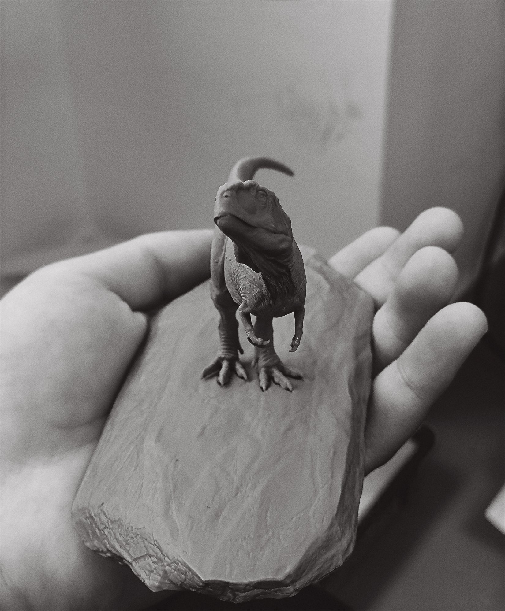SHOWANNA 1:15 Scale Mapusaurus SCENE STATUE Painted Version