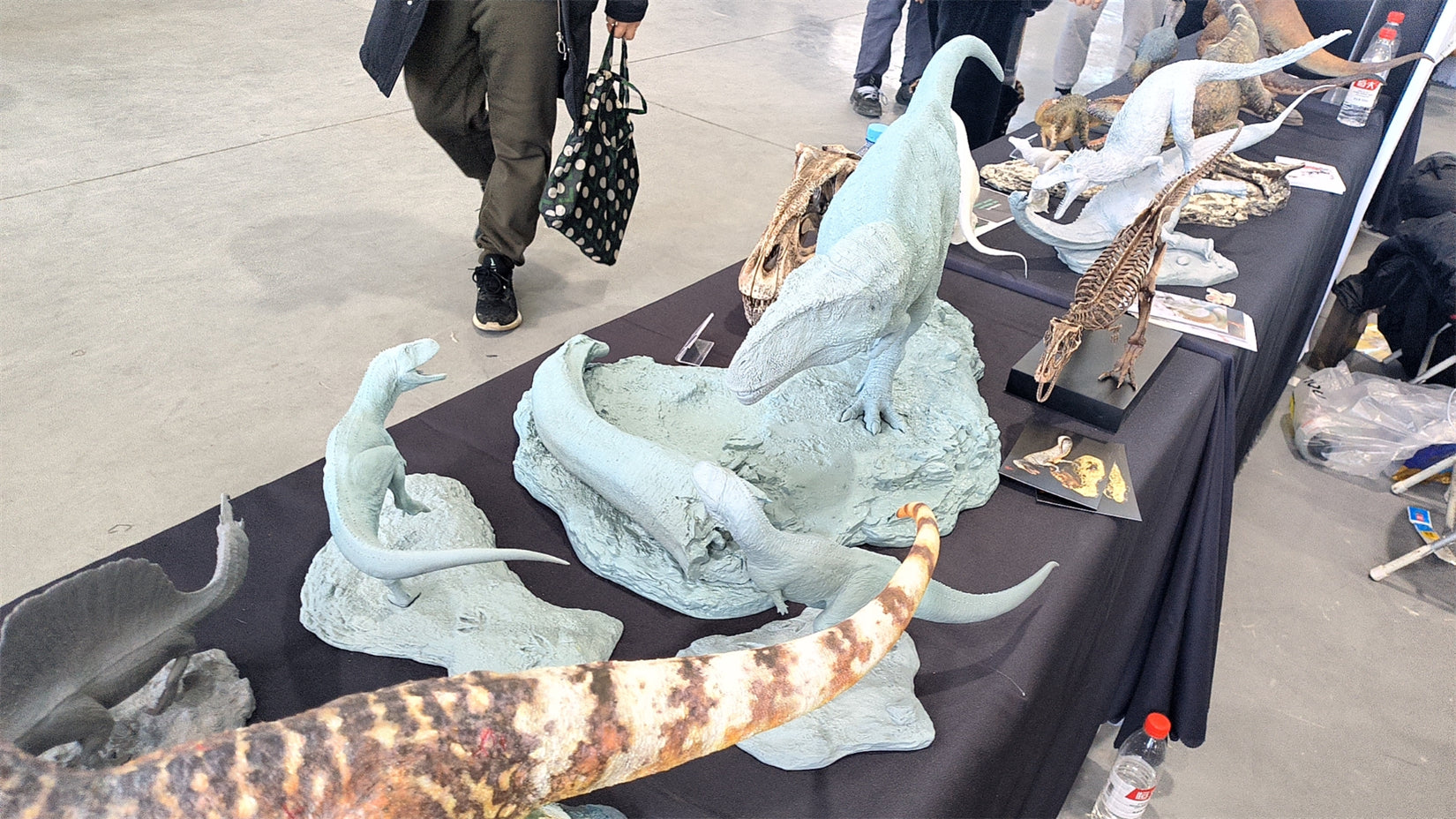 SHOWANNA 1:15 Scale Mapusaurus SCENE STATUE Painted Version