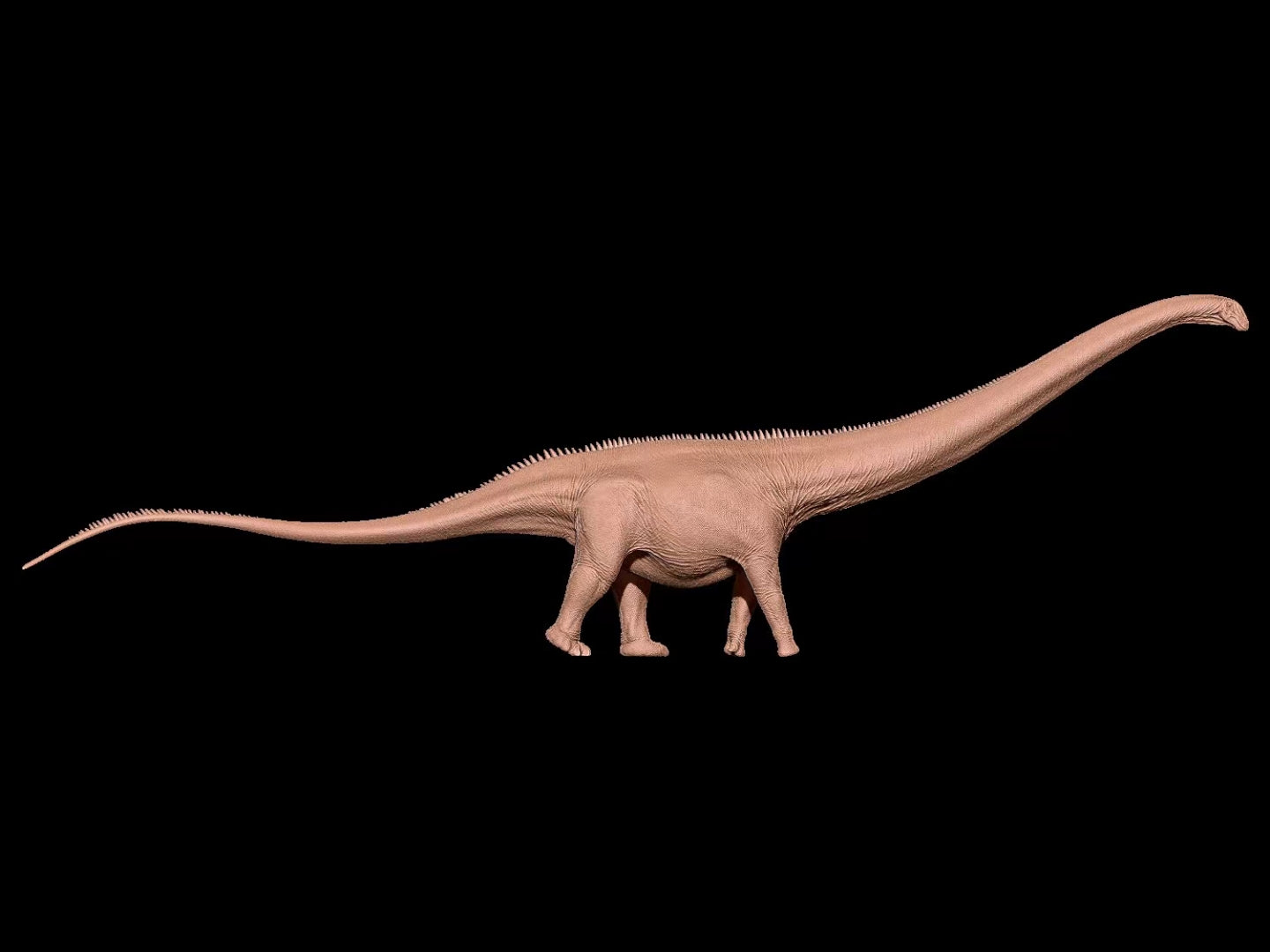 ZEE STUDIO Supersaurus vivianae Model