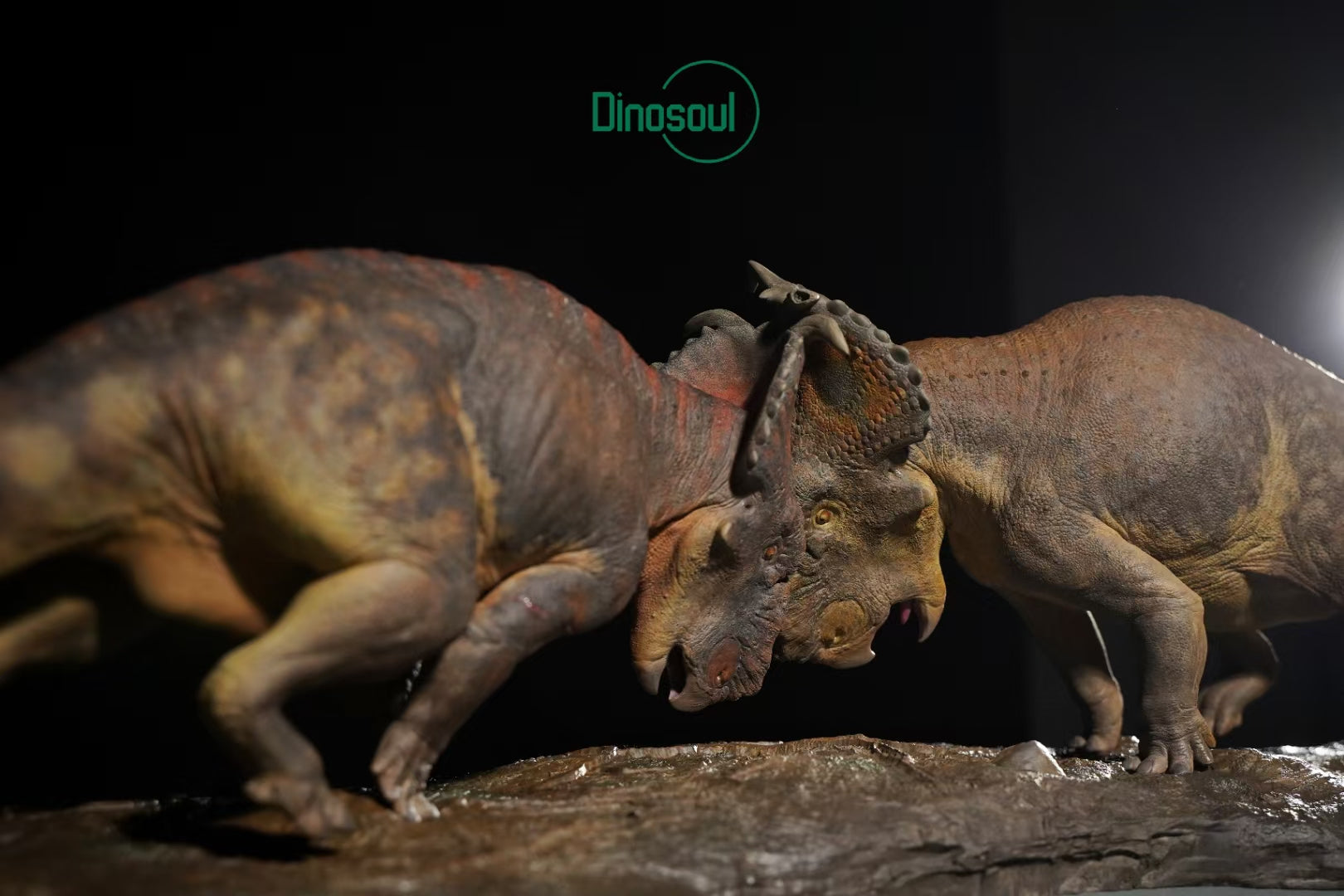 Dinosoul Studio Pachyrhinosaurus Battle Scene Model