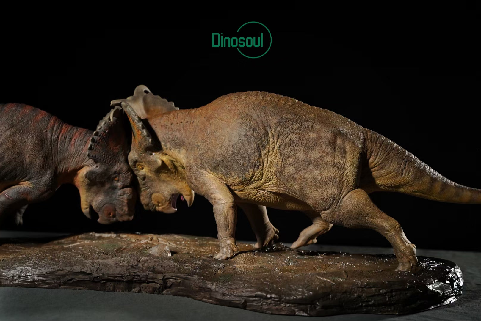 Dinosoul Studio Pachyrhinosaurus Battle Scene Model