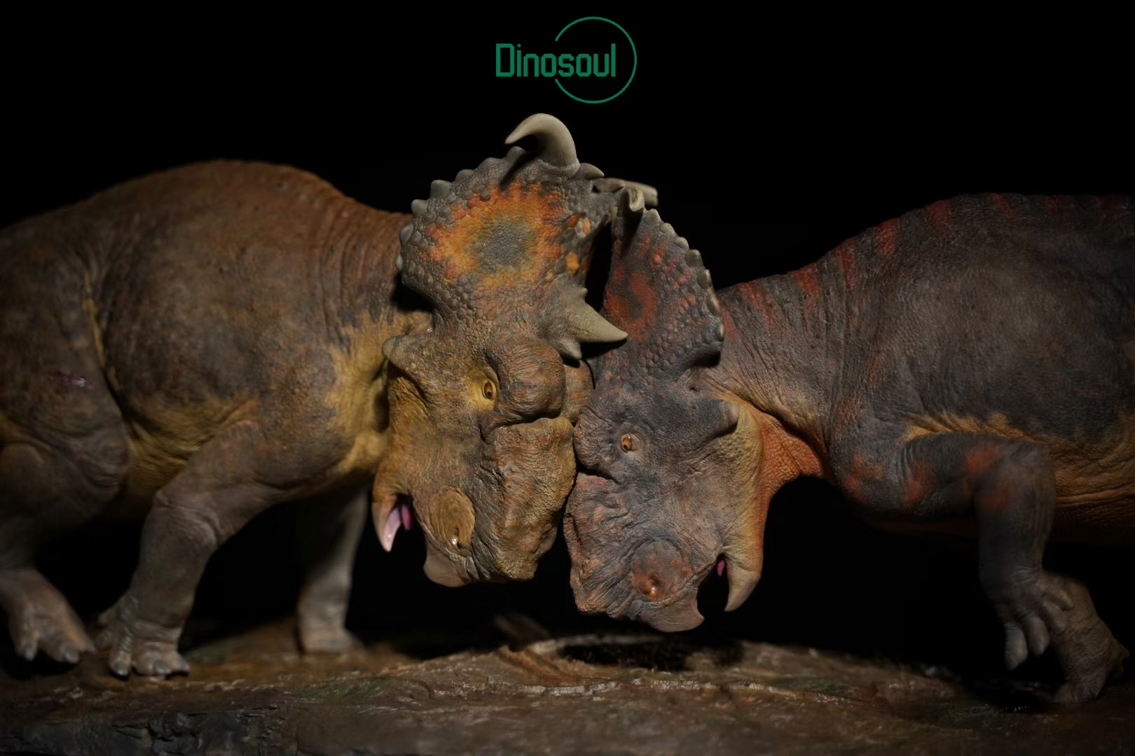 Dinosoul Studio Pachyrhinosaurus Battle Scene Model