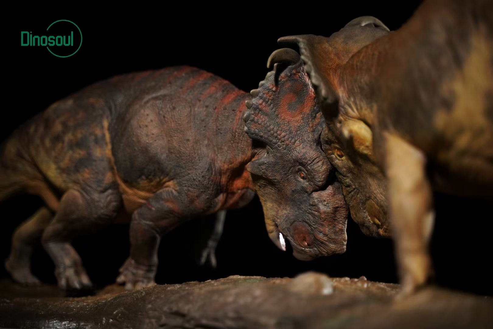 Dinosoul Studio Pachyrhinosaurus Battle Scene Model