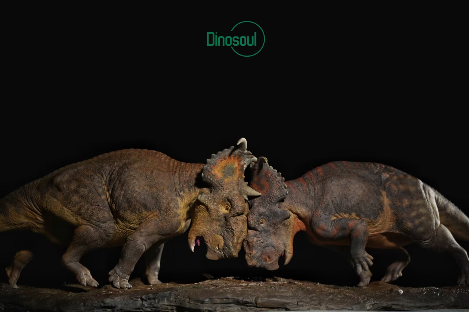 Dinosoul Studio Pachyrhinosaurus Battle Scene Model