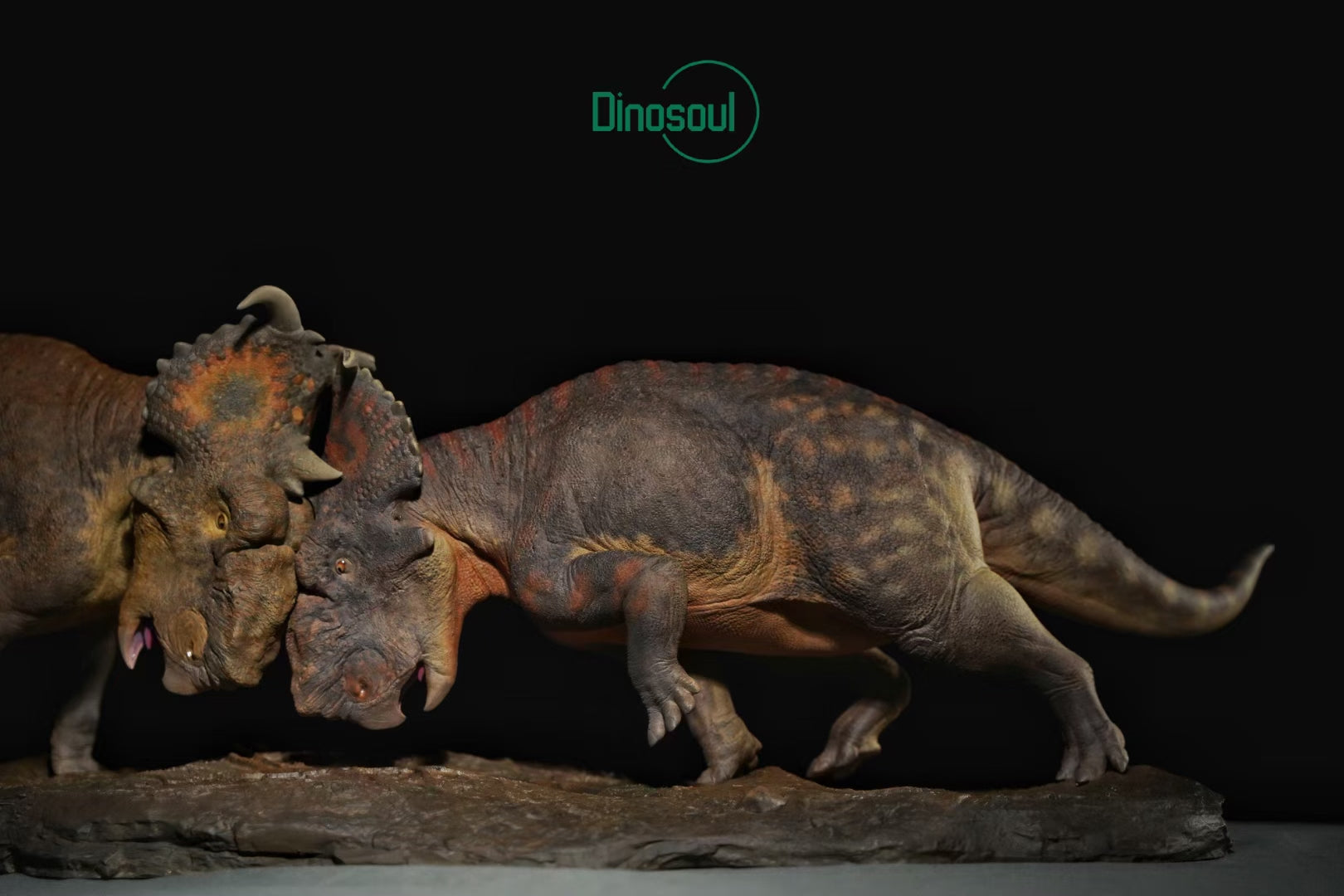 Dinosoul Studio Pachyrhinosaurus Battle Scene Model