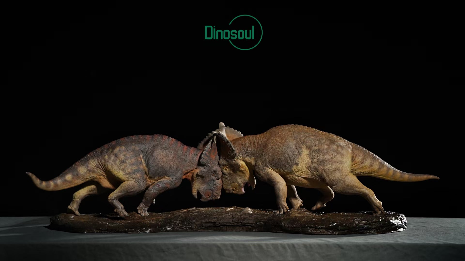 Dinosoul Studio Pachyrhinosaurus Battle Scene Model