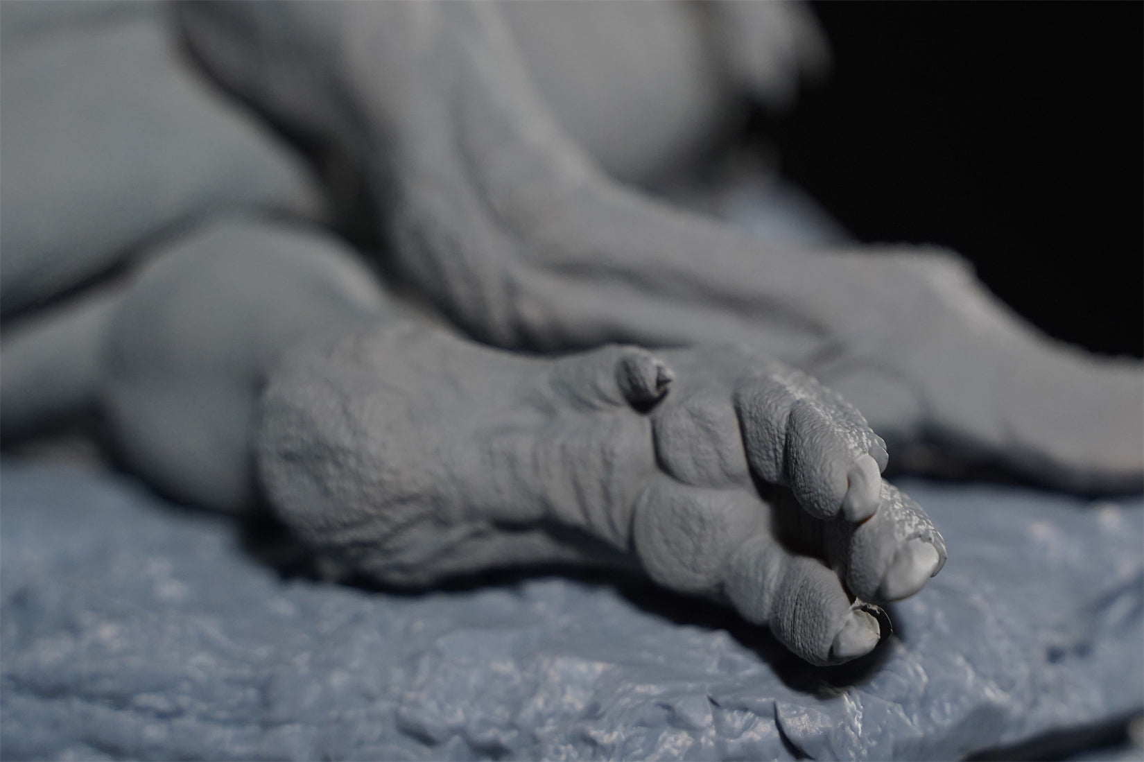 Aokhan Studio Zhuchengtyrannus Scene Model