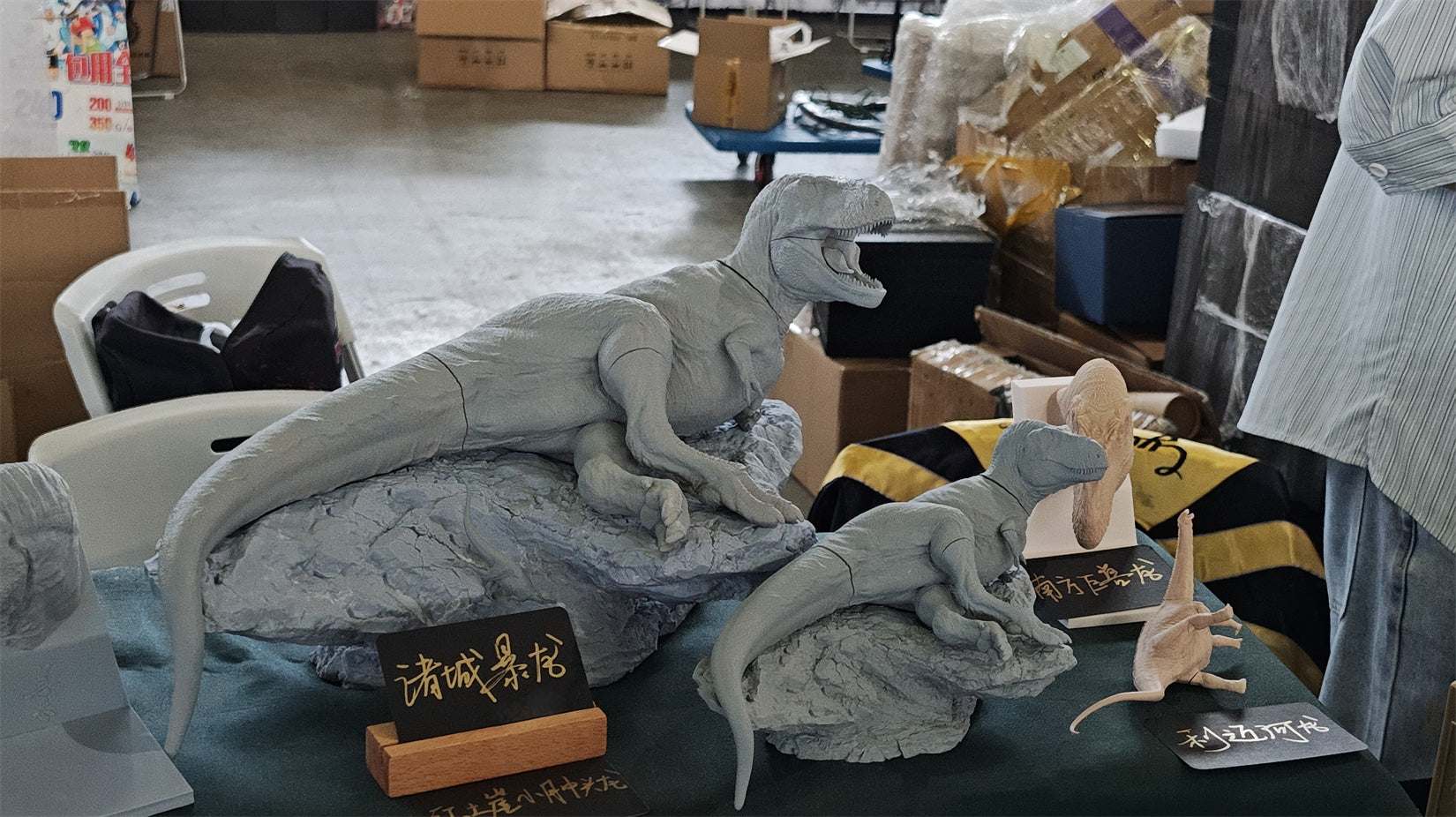 Aokhan Studio Zhuchengtyrannus Scene Model