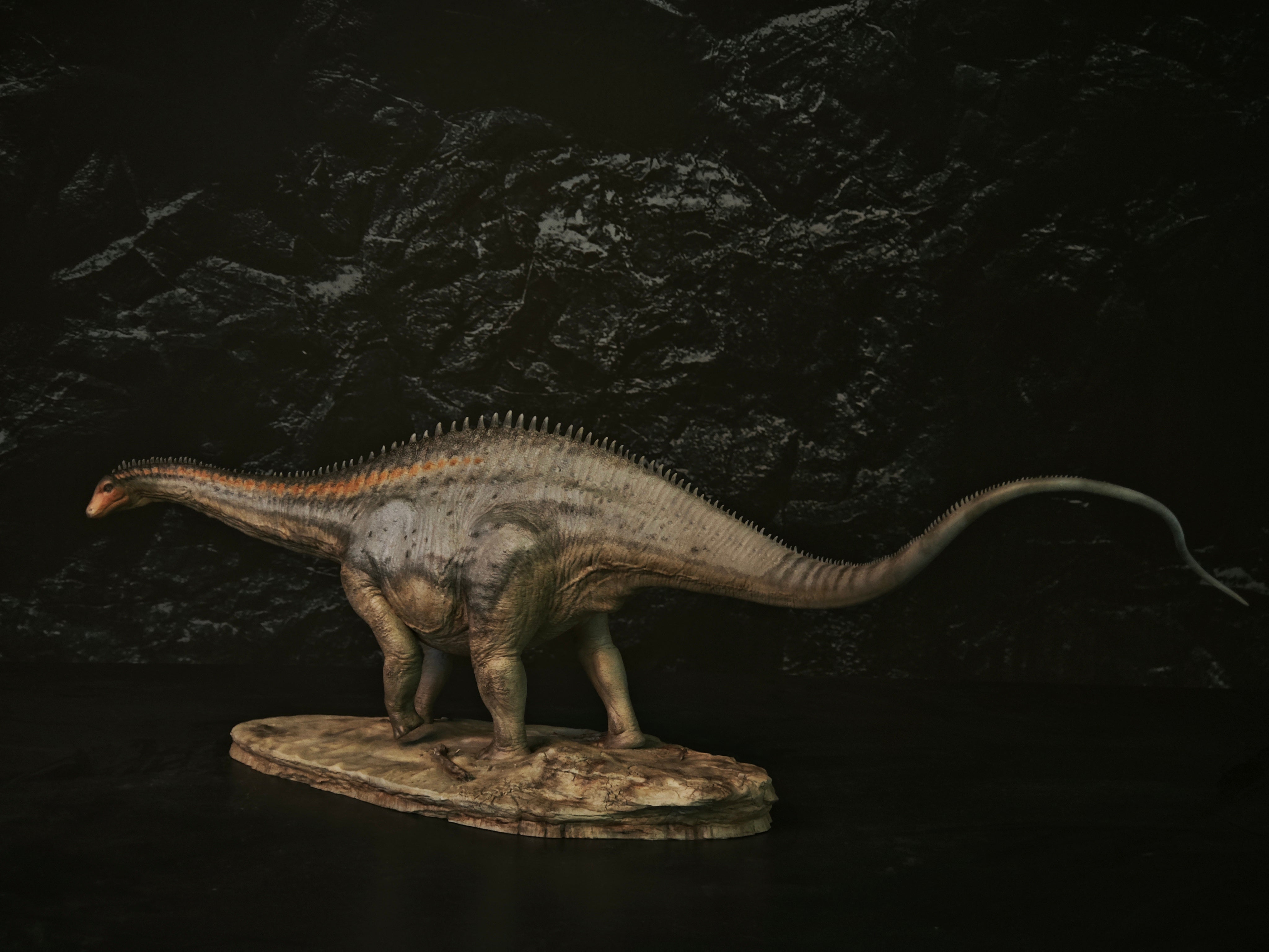 Anningpale 1:35 Scale Maraapunisaurus Model