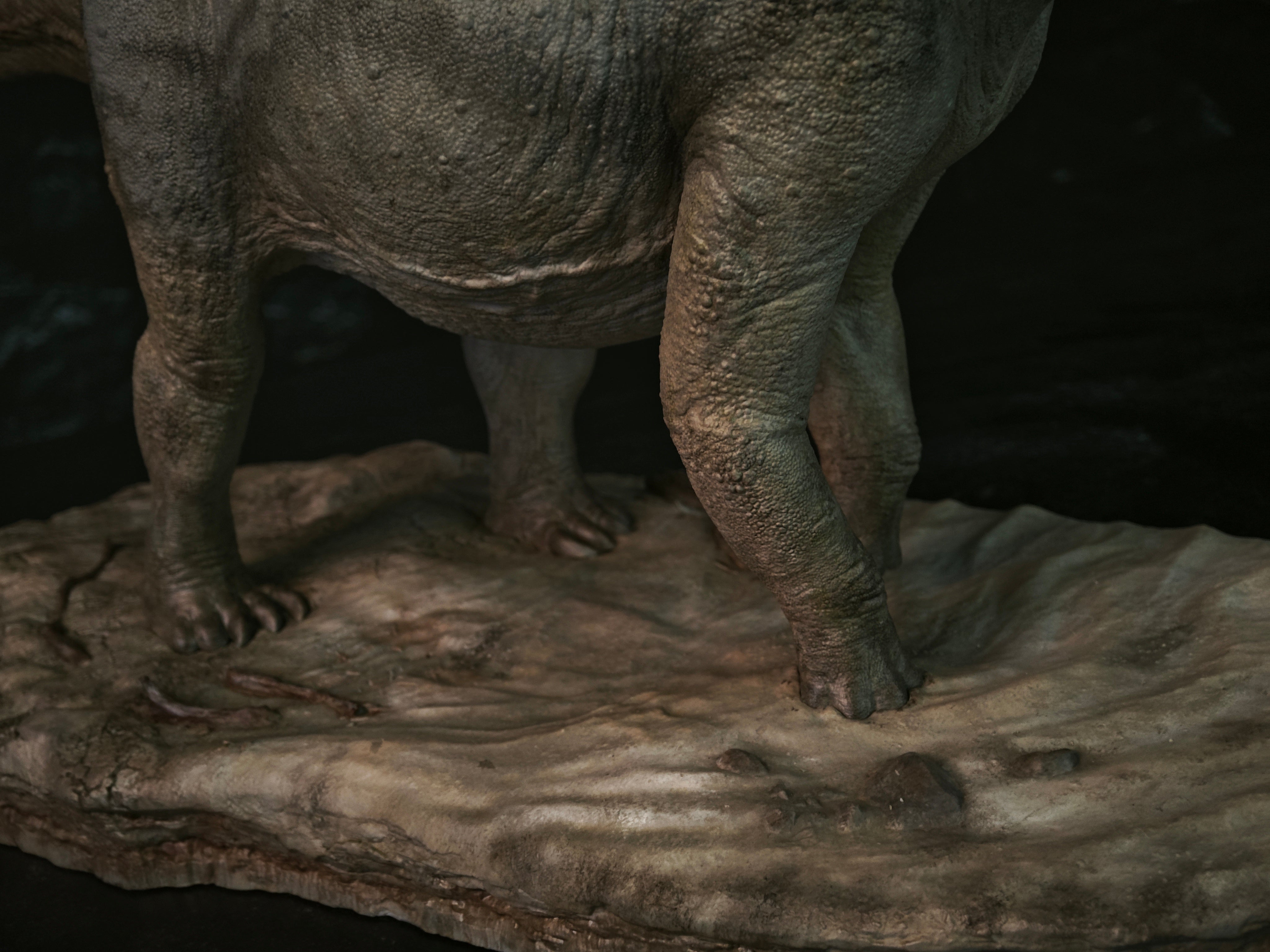 Anningpale 1:35 Scale Maraapunisaurus Model