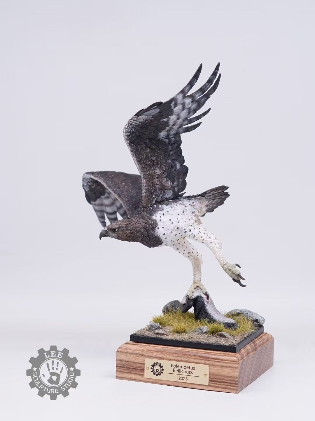 LEE Studio 1/10 Scale Martial Eagle Model