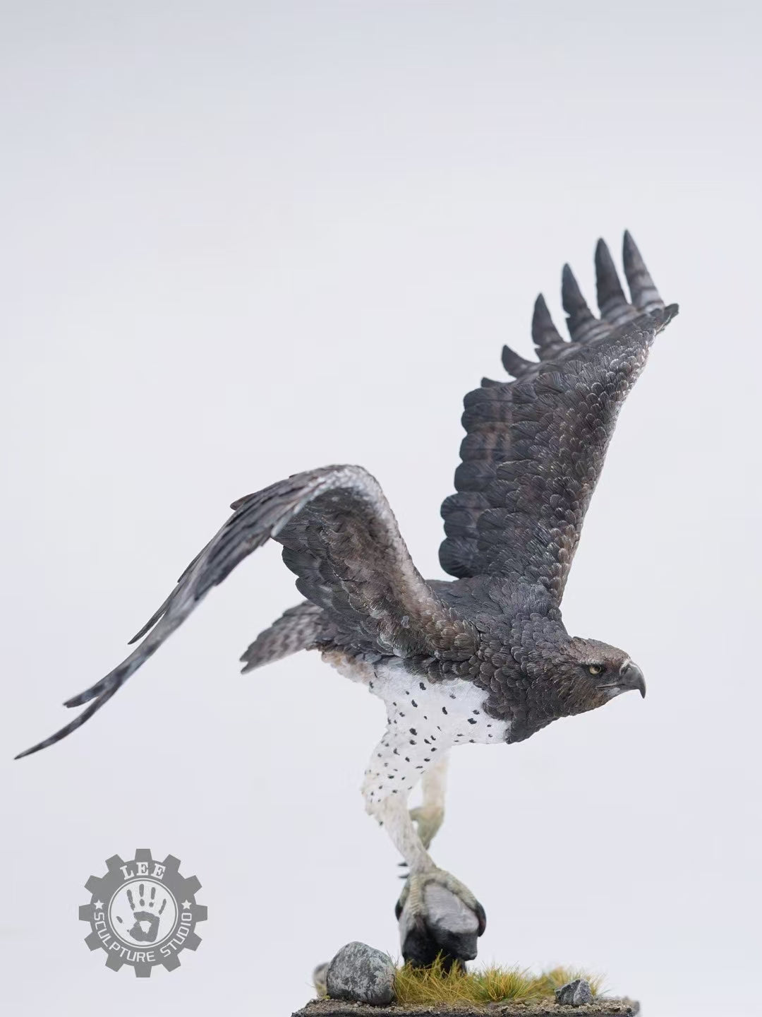 LEE Studio 1/10 Scale Martial Eagle Model
