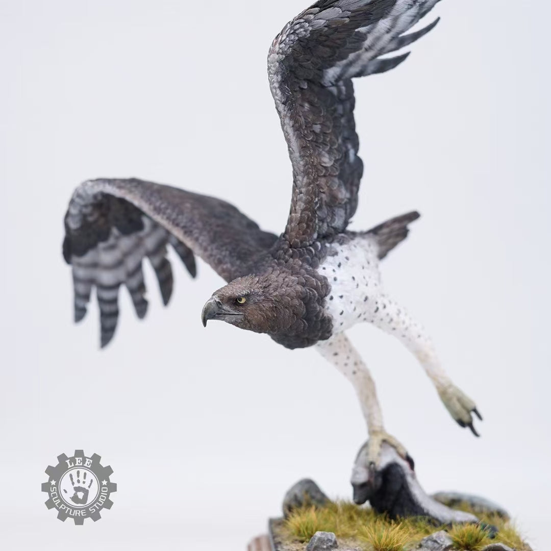 LEE Studio 1/10 Scale Martial Eagle Model