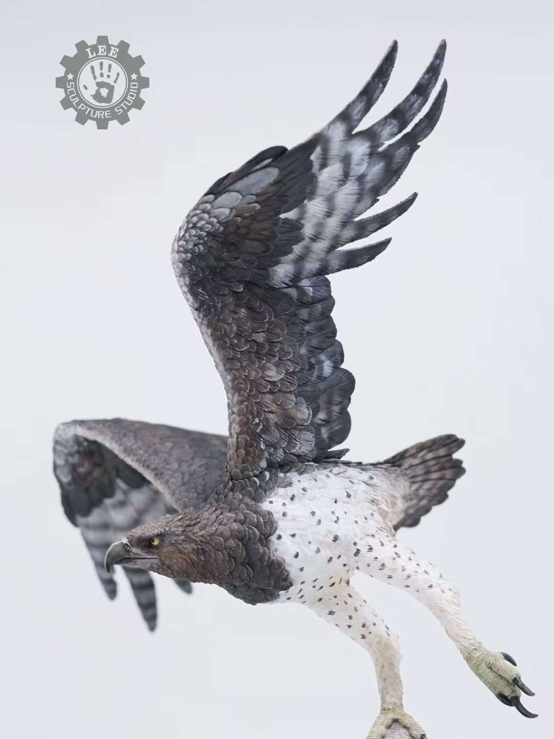 LEE Studio 1/10 Scale Martial Eagle Model