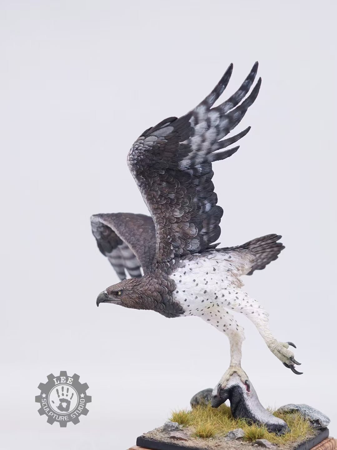 LEE Studio 1/10 Scale Martial Eagle Model