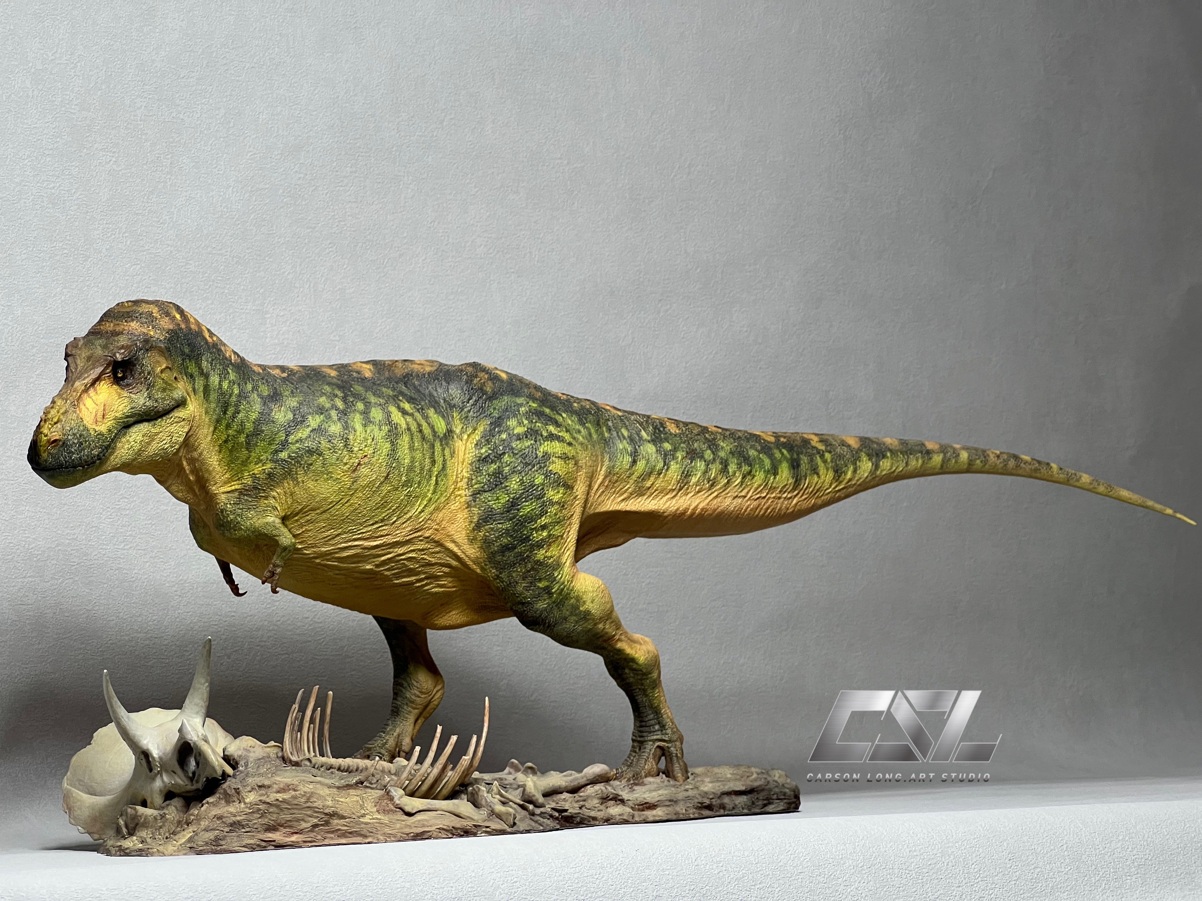 Carson Long STUDIO Tyrannosaurus Rex Sue Model