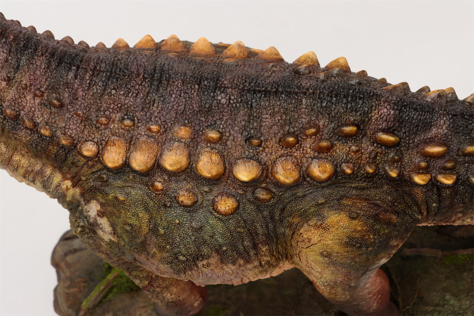 Anningpale 1:35 Scale Patagotitan Model