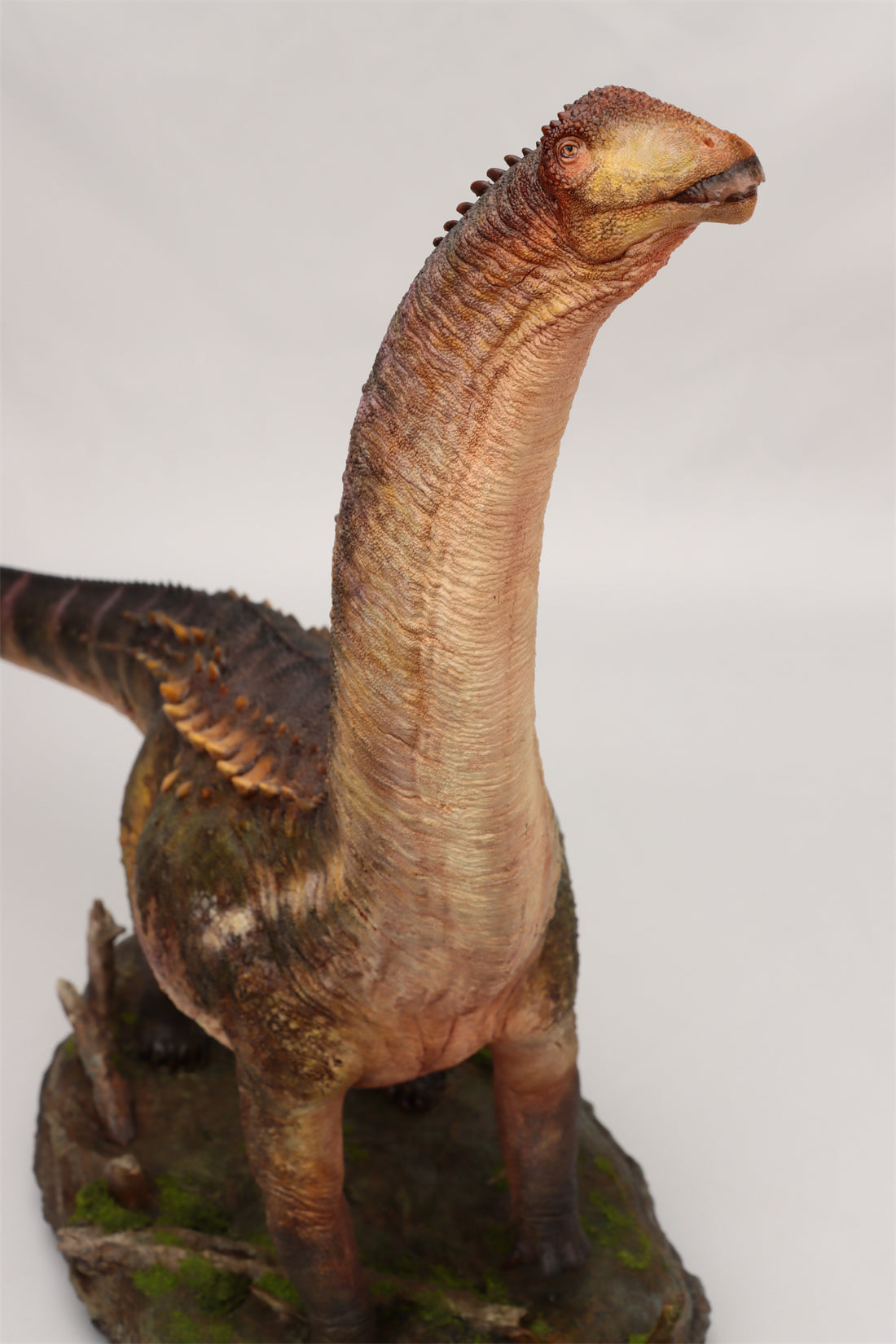 Anningpale 1:35 Scale Patagotitan Model