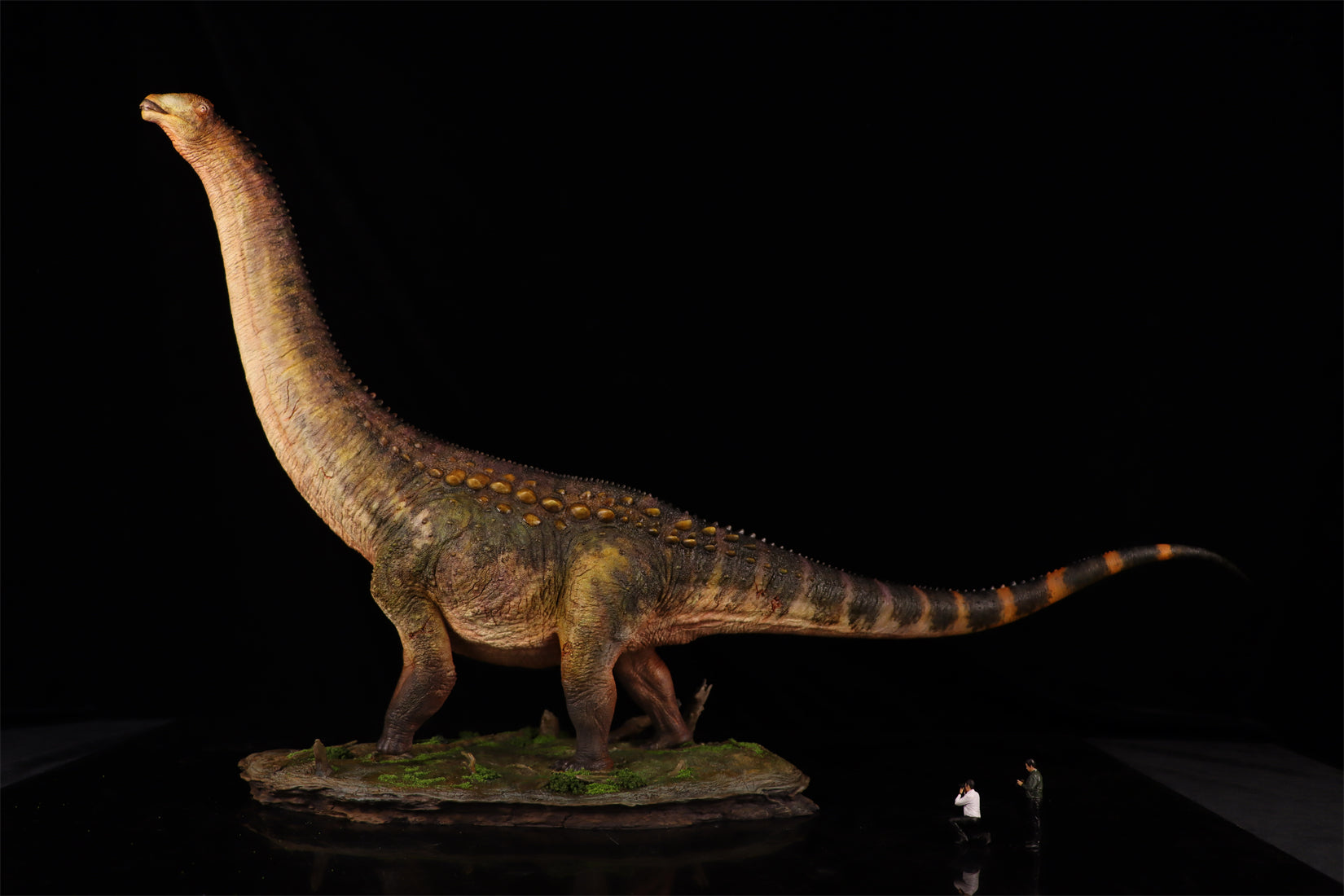 Anningpale 1:35 Scale Patagotitan Model
