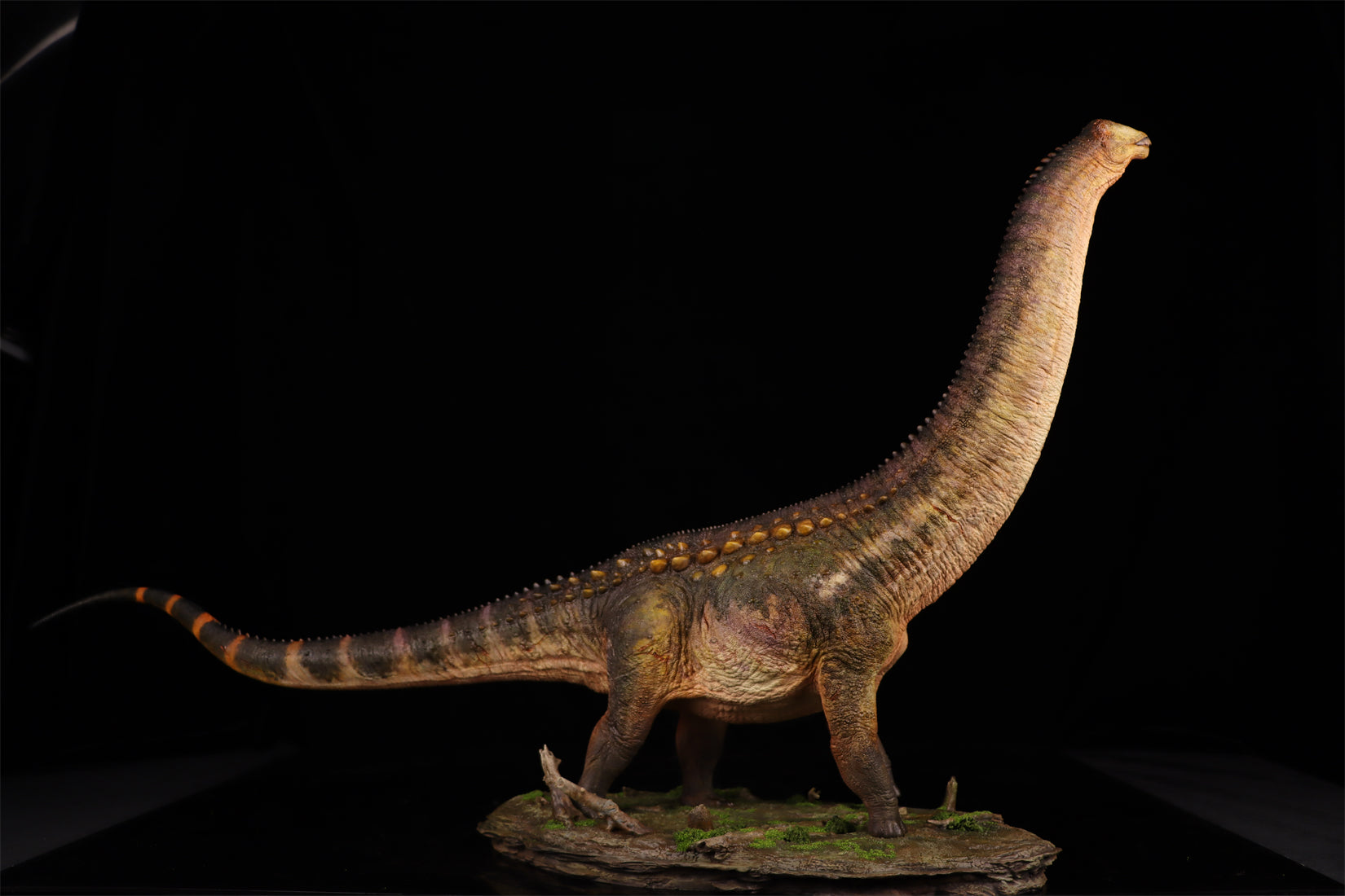 Anningpale 1:35 Scale Patagotitan Model
