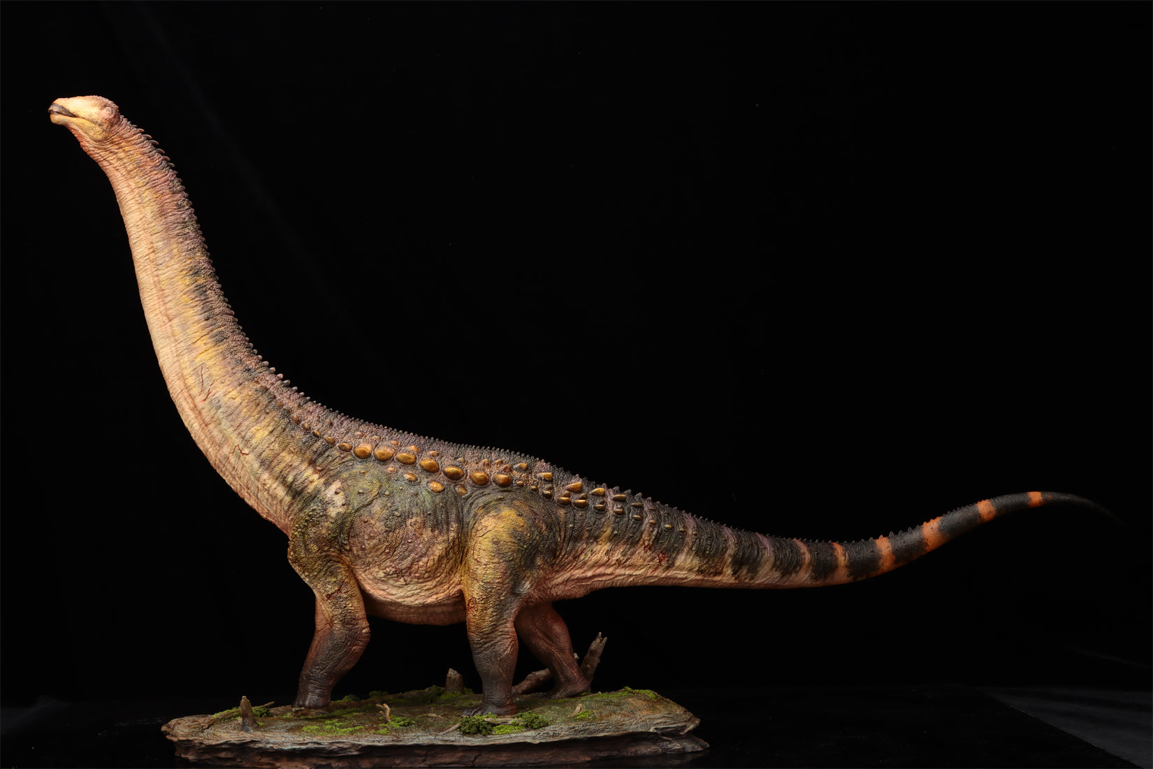 Anningpale 1:35 Scale Patagotitan Model
