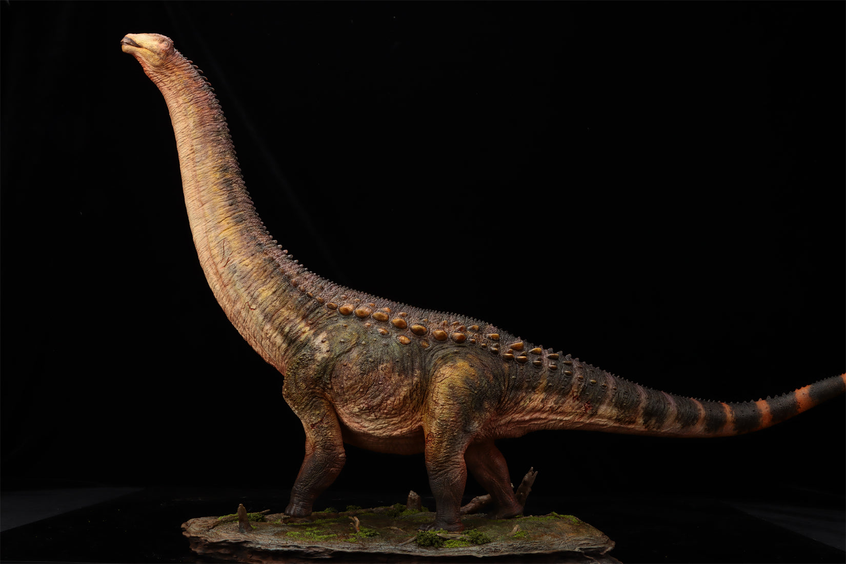 Anningpale 1:35 Scale Patagotitan Model