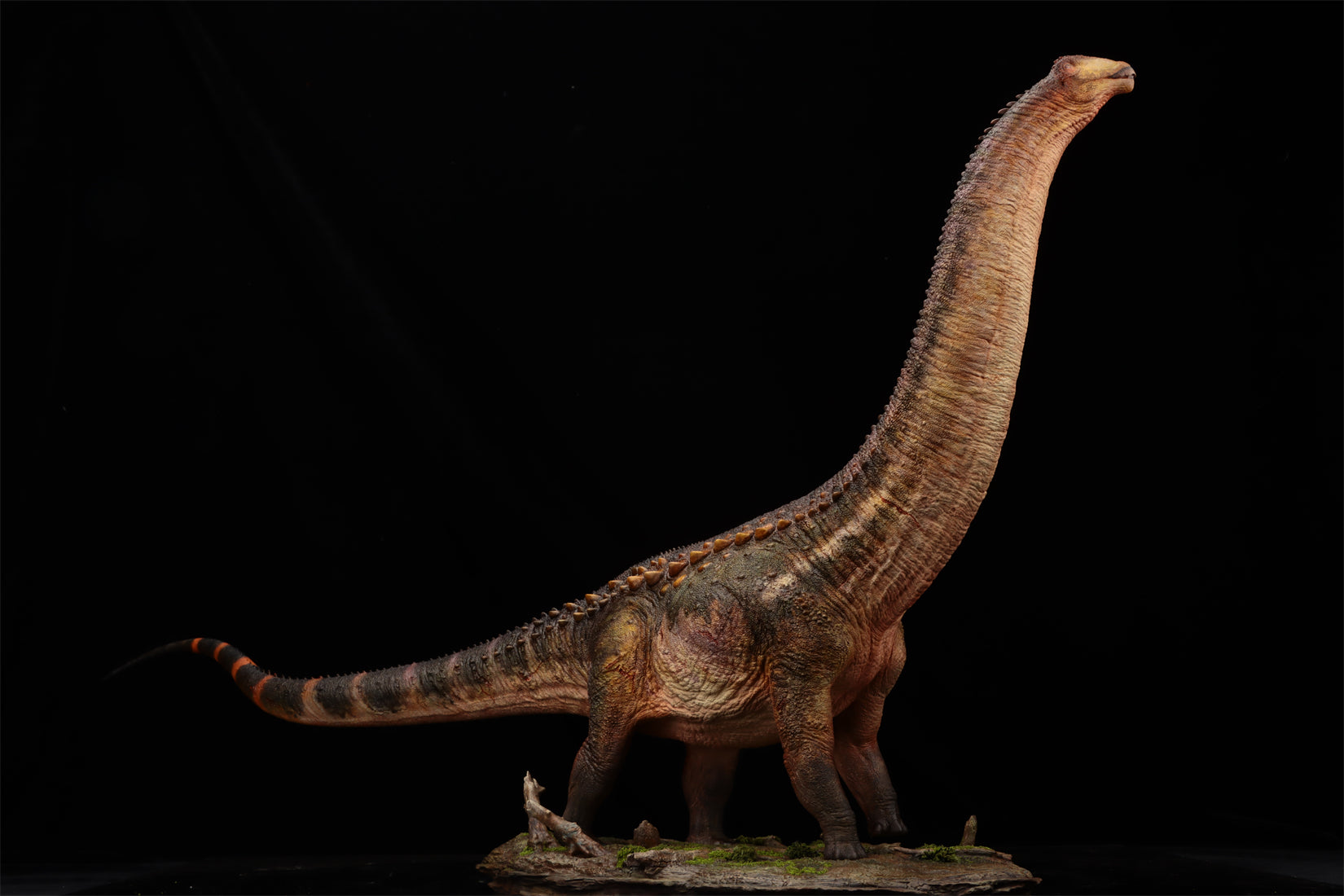 Anningpale 1:35 Scale Patagotitan Model