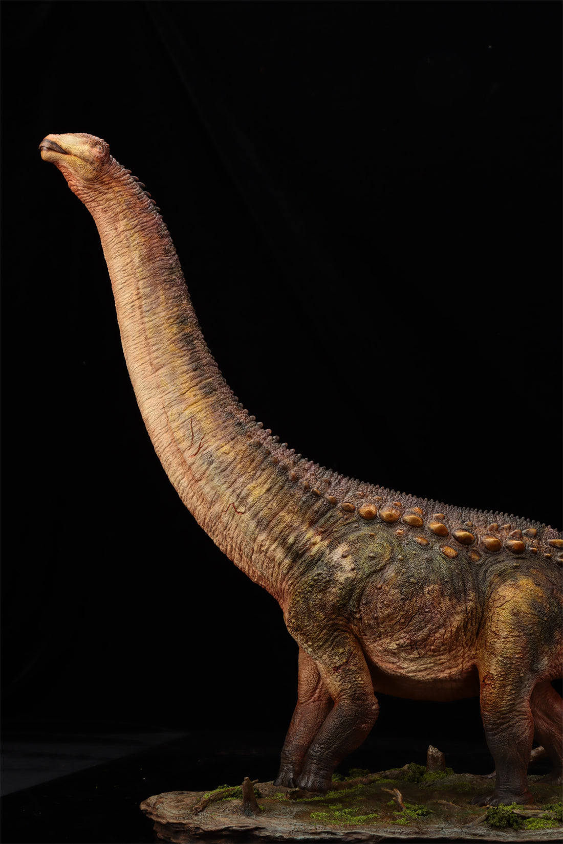 Anningpale 1:35 Scale Patagotitan Model