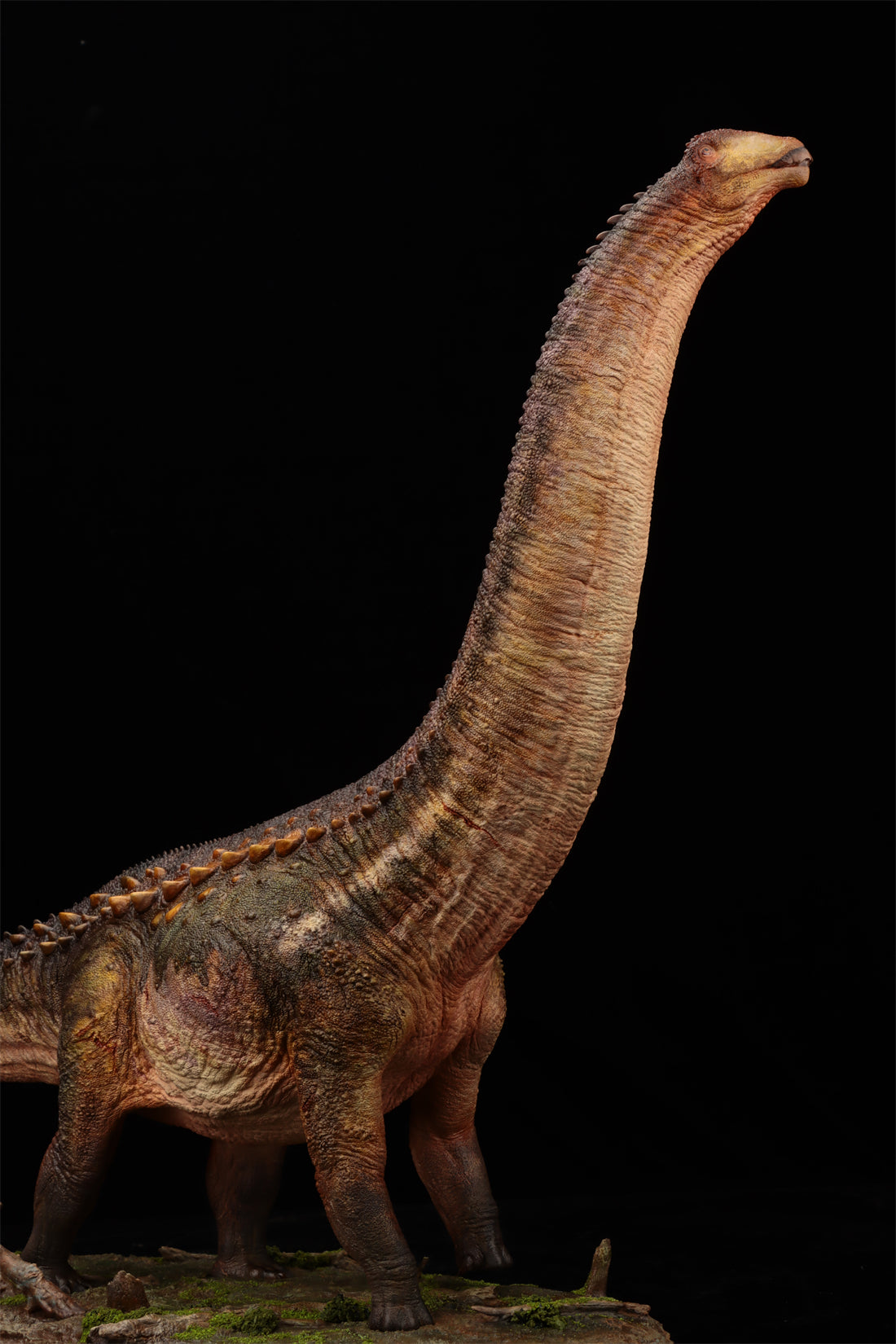 Anningpale 1:35 Scale Patagotitan Model