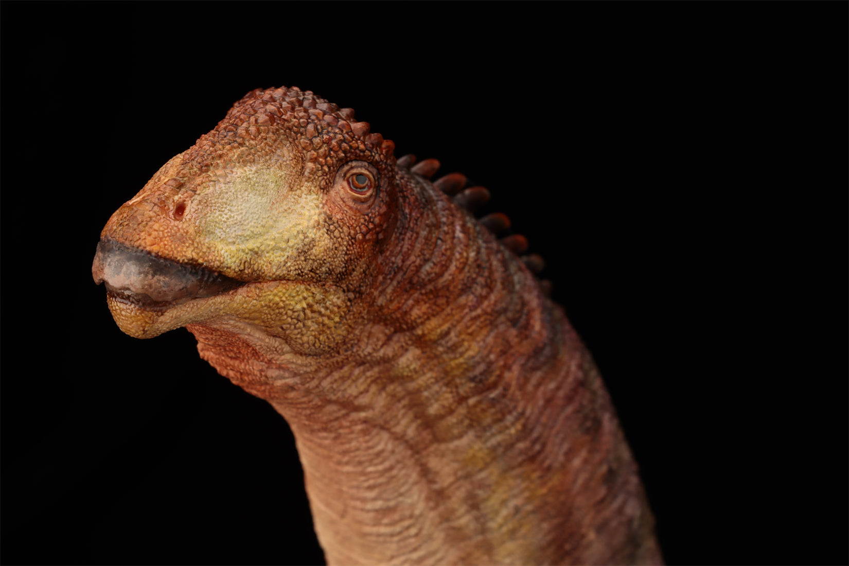 Anningpale 1:35 Scale Patagotitan Model