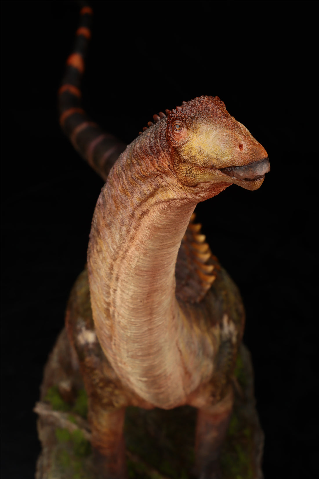 Anningpale 1:35 Scale Patagotitan Model