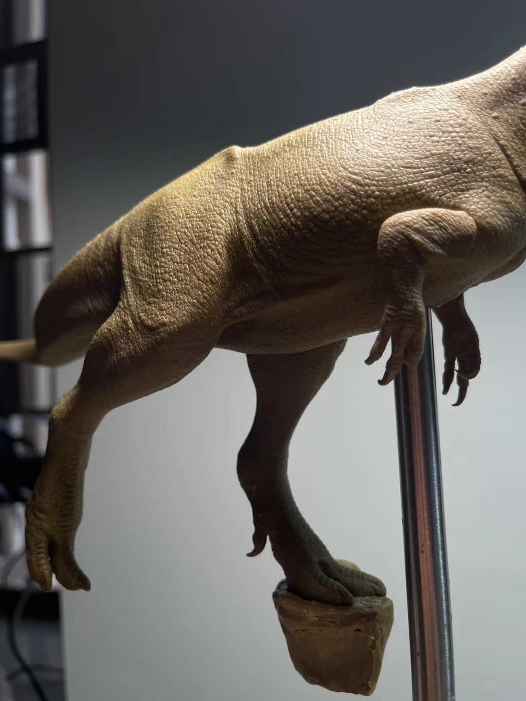 Sensen 1:20 Scale Monolophosaurus Scene Model