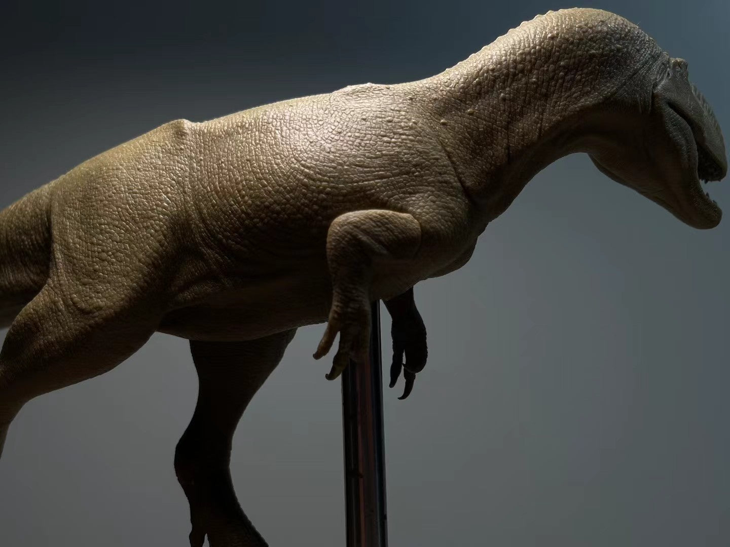 Sensen 1:20 Scale Monolophosaurus Scene Model